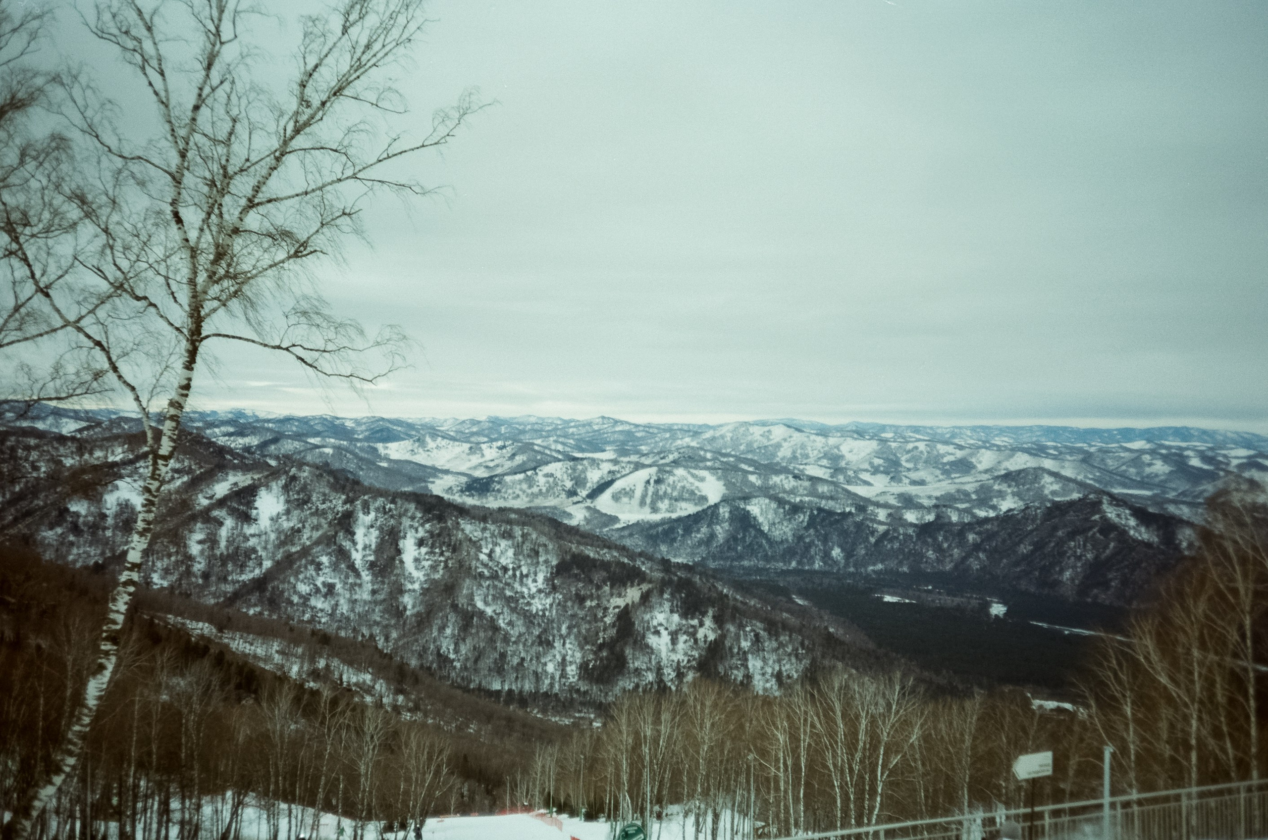 Горно-лыжный курорт Манжерок / 22 декабря 2023 года (0℃)