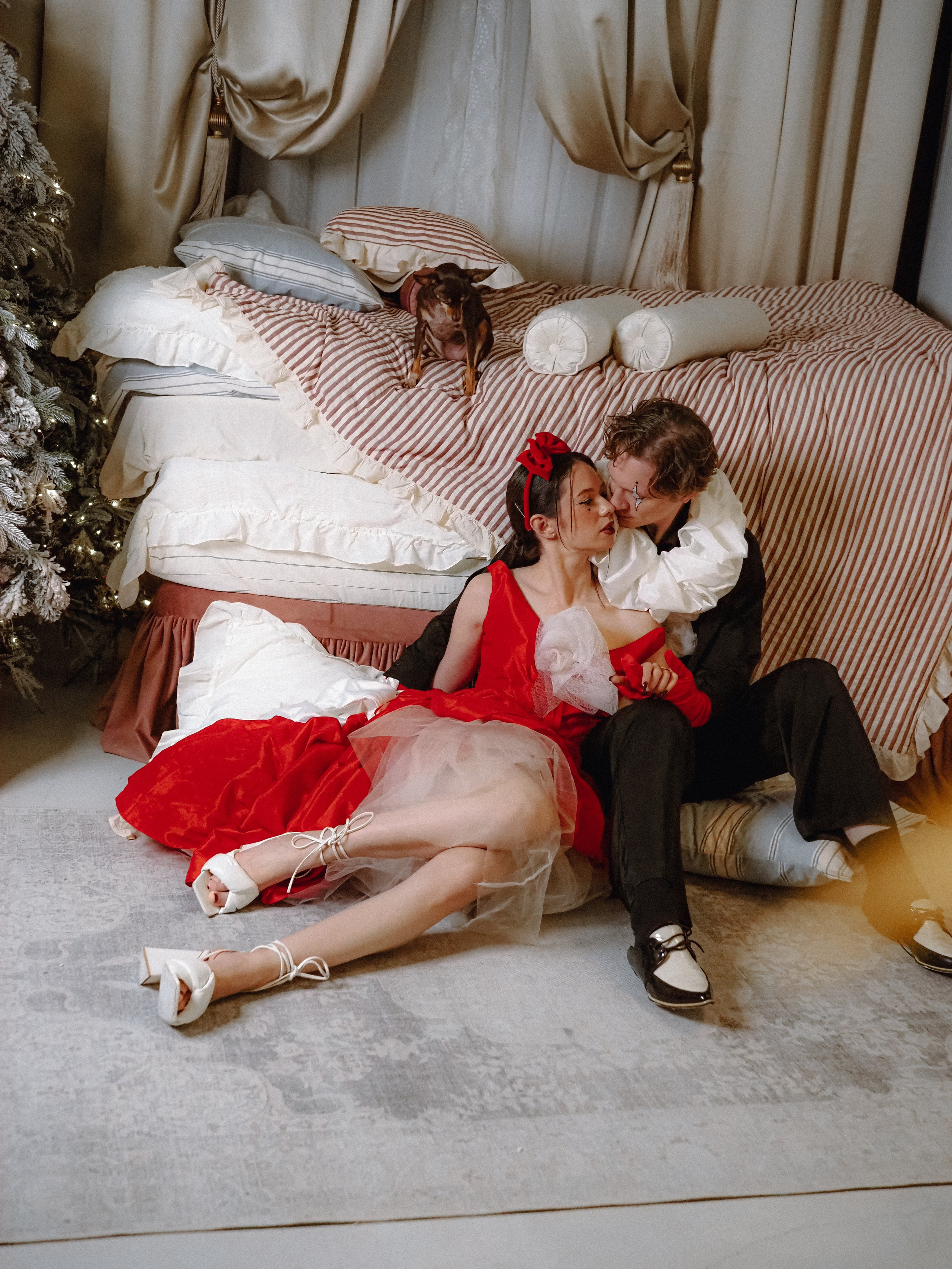 Arlequin. Фотограф Рязань. Семейный Свадебный фотограф