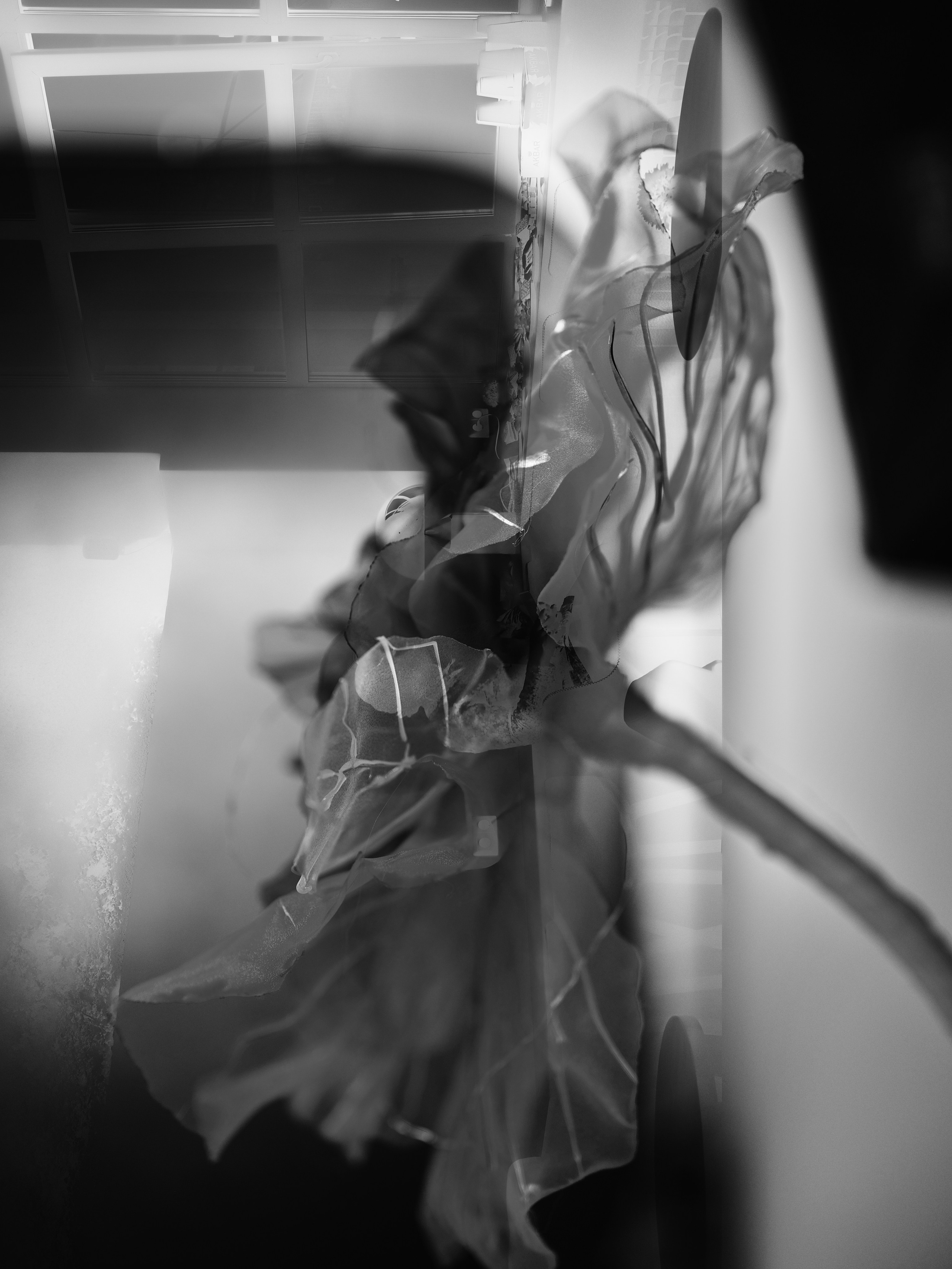 FF 2025. Свадебный фотограф в Екатеринбурге Соседков Евгений