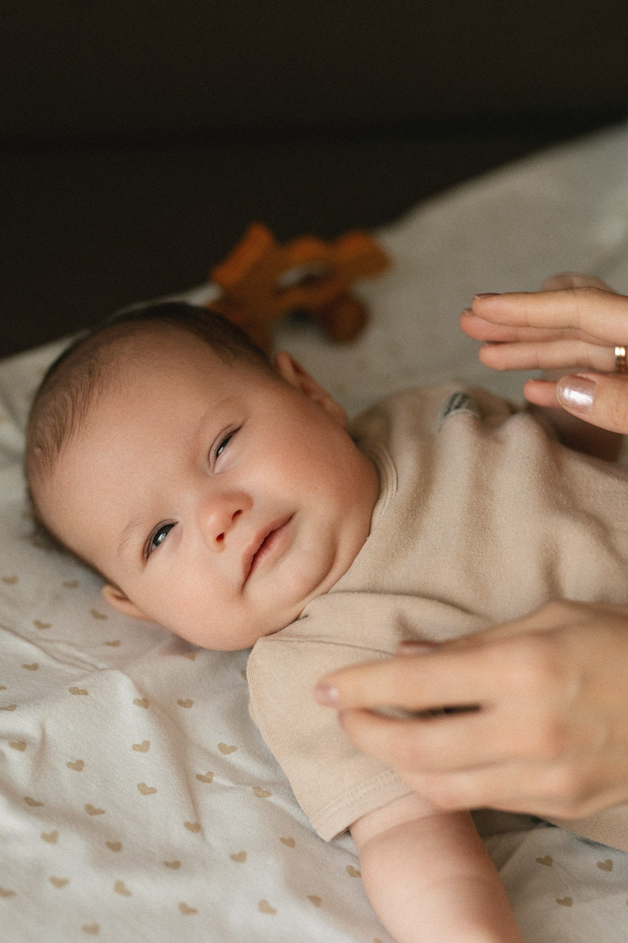 «ТРОЕ В ДОМЕ, НЕ СЧИТАЯ СОБАКИ». Maria Startseva Photo