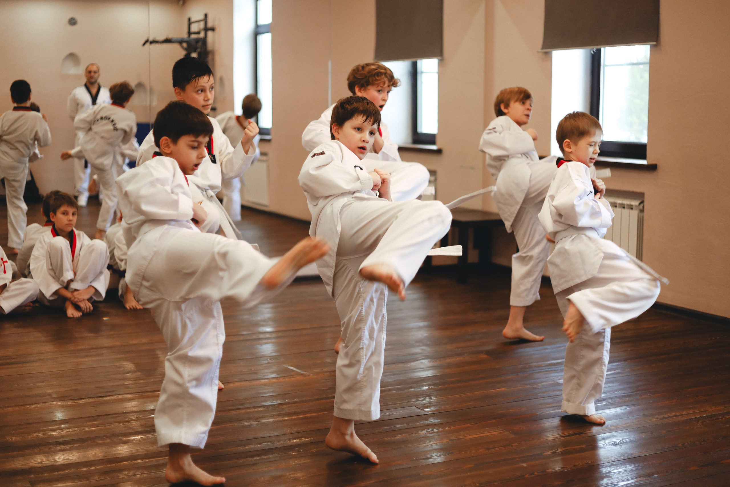 Тхэквондо Аттестация. Фотограф в Москве Бастракова Юлия