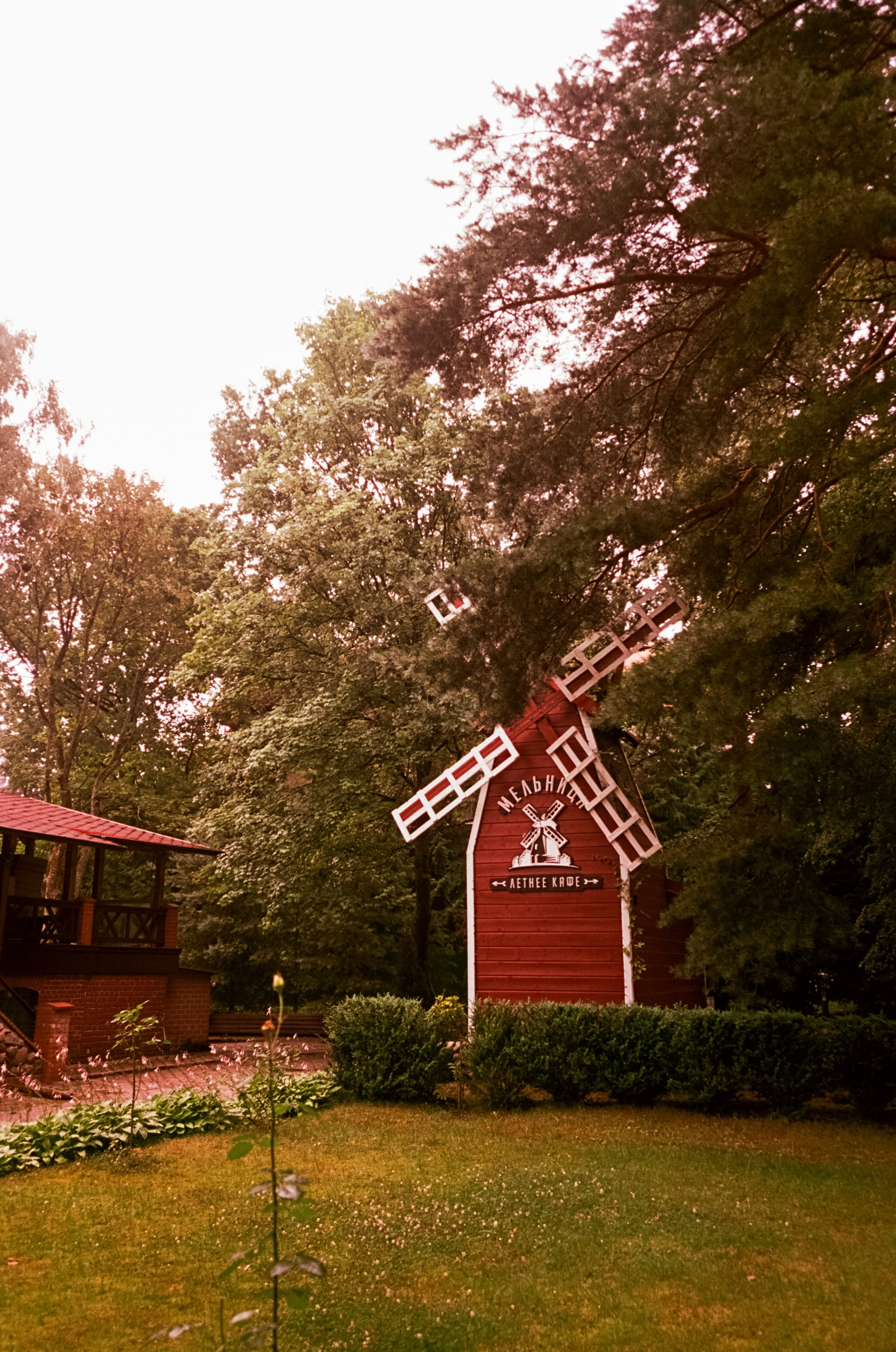 Арт-пространство Телеграф и улочки Светлогорска. Фотограф-документалист Мария Осокина