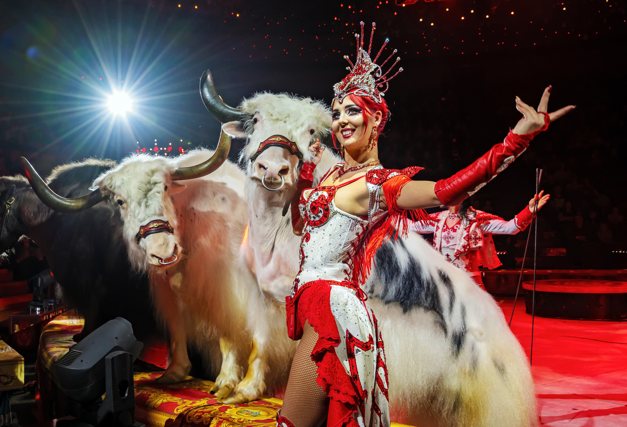 Фотограф Андрей Пухов (Jazz)