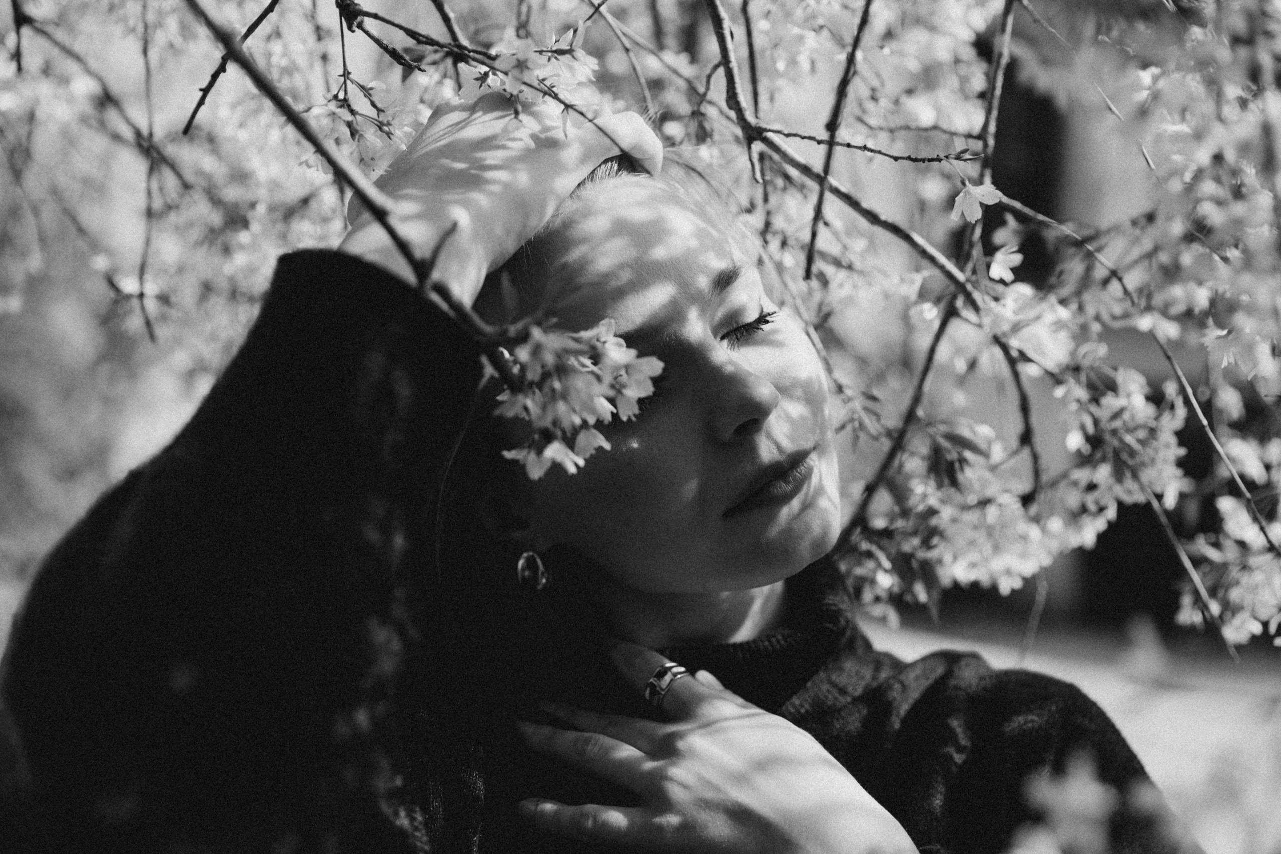 Секретный сад. Фотограф в Париже