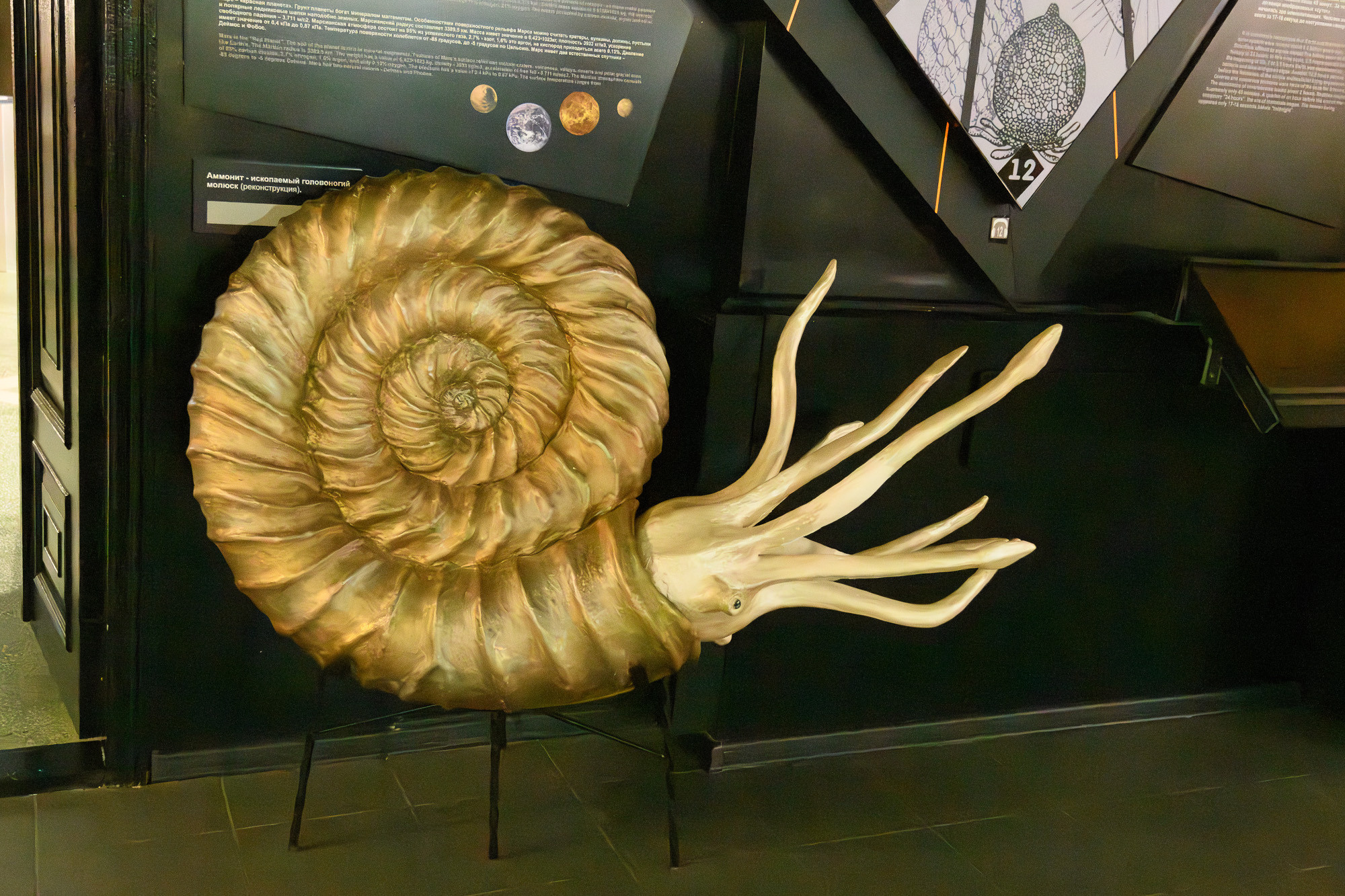 Фотосопровождение экскурсии. Профессиональная фотосъемка. Ростов-на-Дону