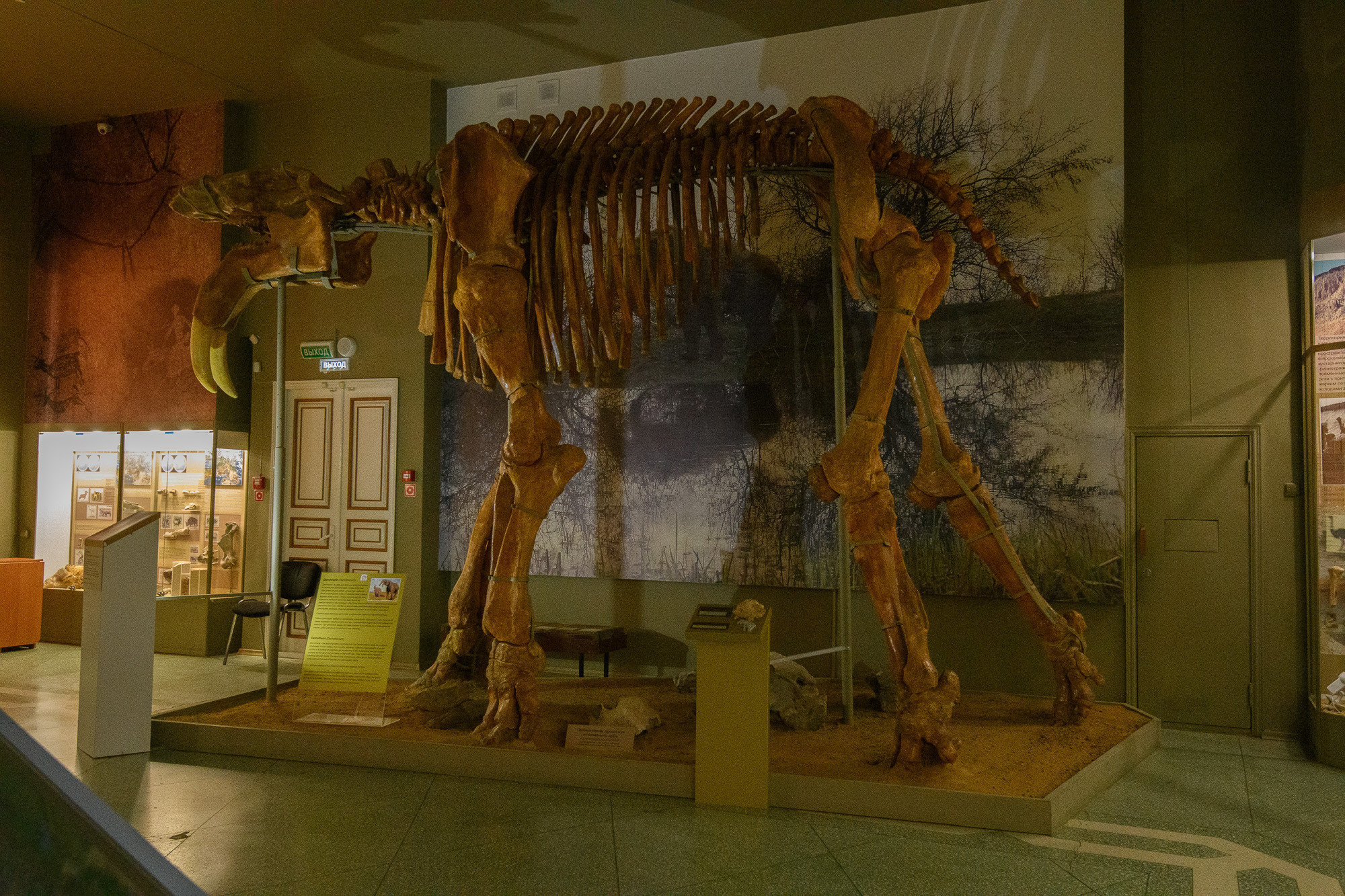 Фотосопровождение экскурсии. Профессиональная фотосъемка. Ростов-на-Дону