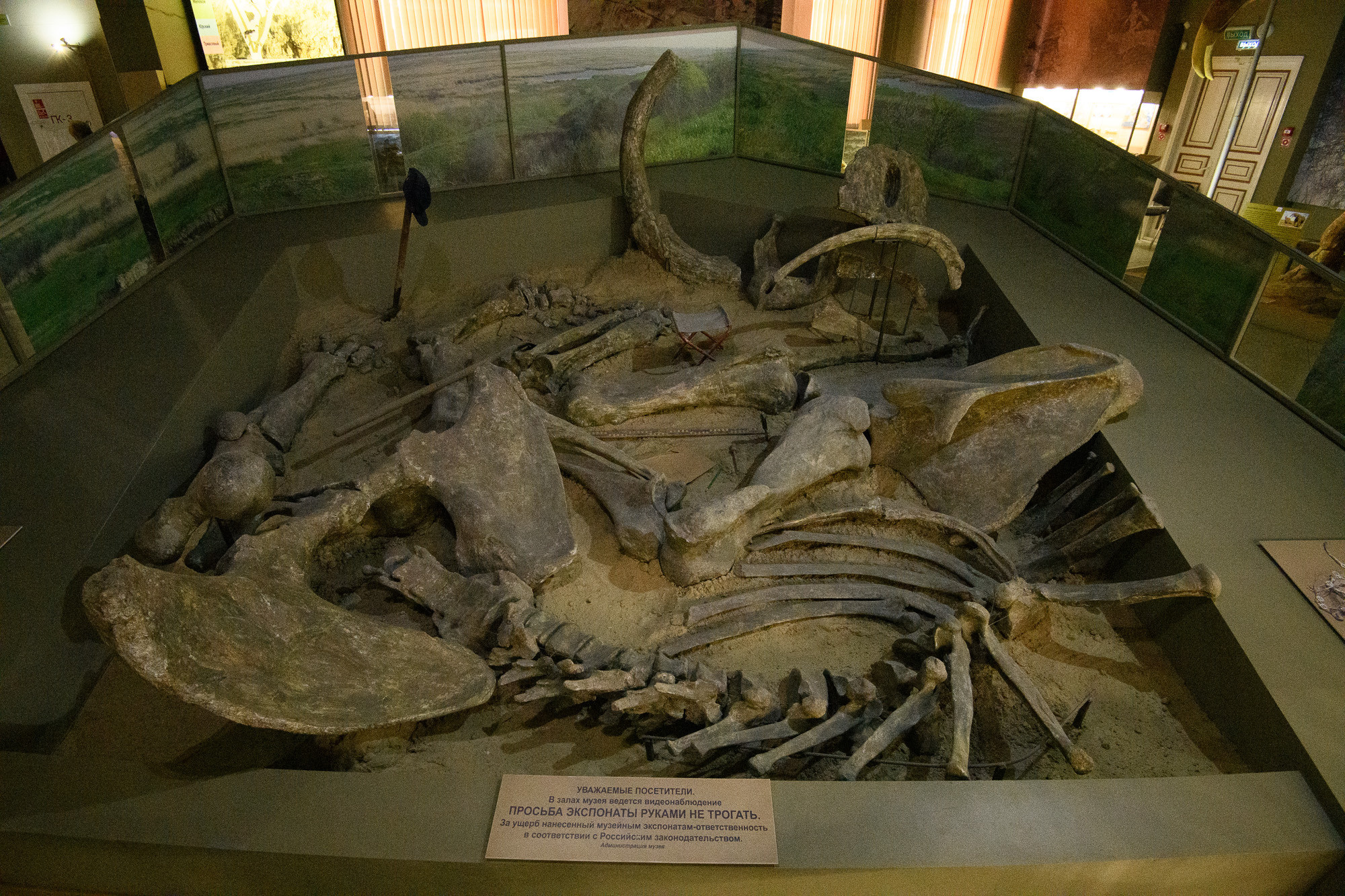 Фотосопровождение экскурсии. Профессиональная фотосъемка. Ростов-на-Дону