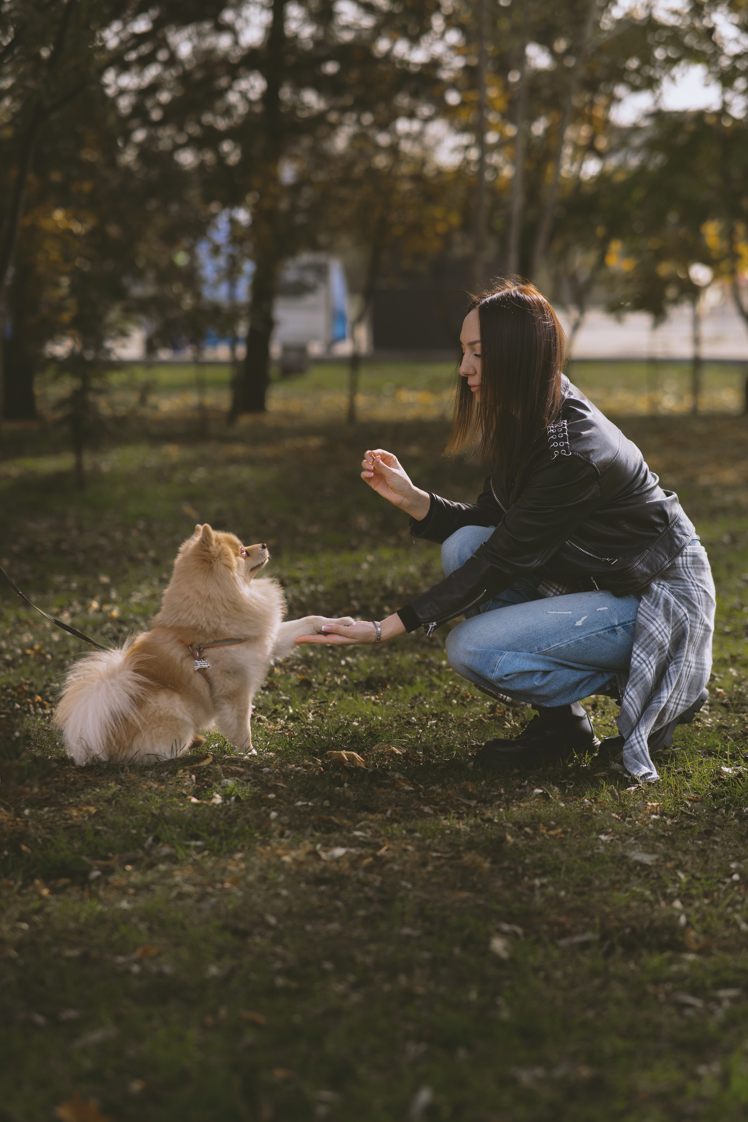 Дарья и ее шпиц Роня. Фотограф в Хабаровске — Виолетта Агафонова