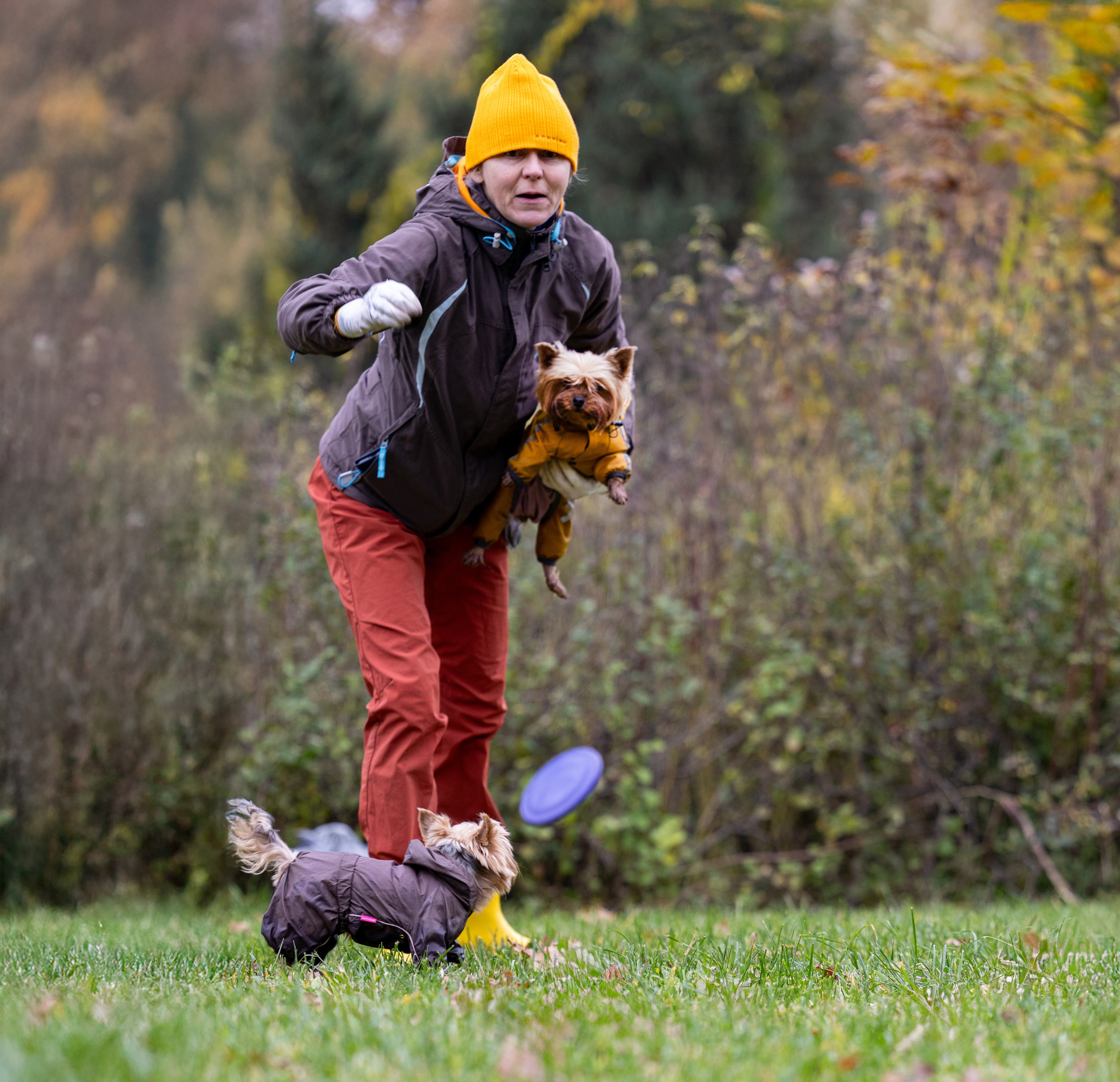 Джессика и Афродита. Виктория Михайловская. Фотограф-анималист. Москва