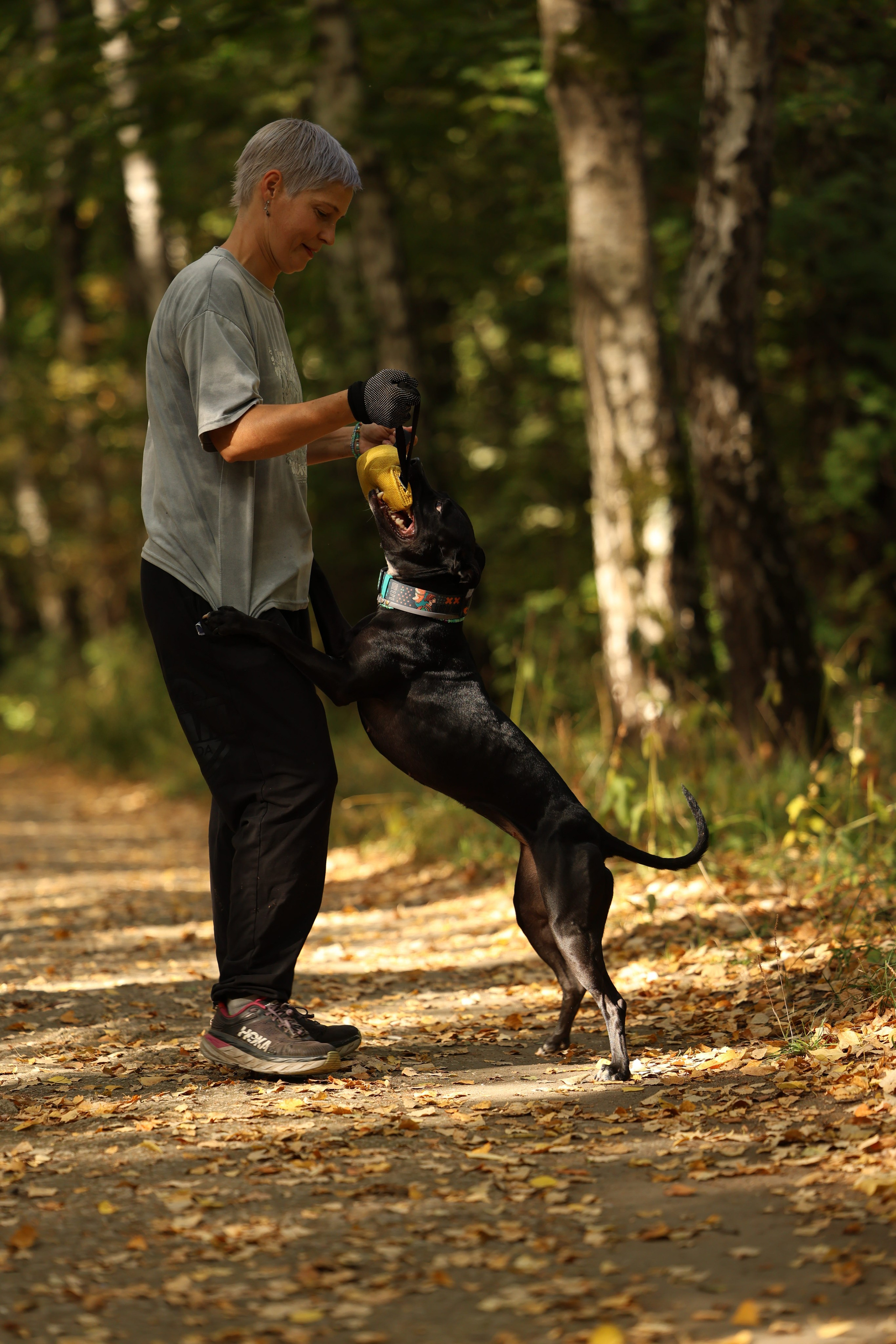 Алена и Бора. Виктория Михайловская. Фотограф-анималист. Москва