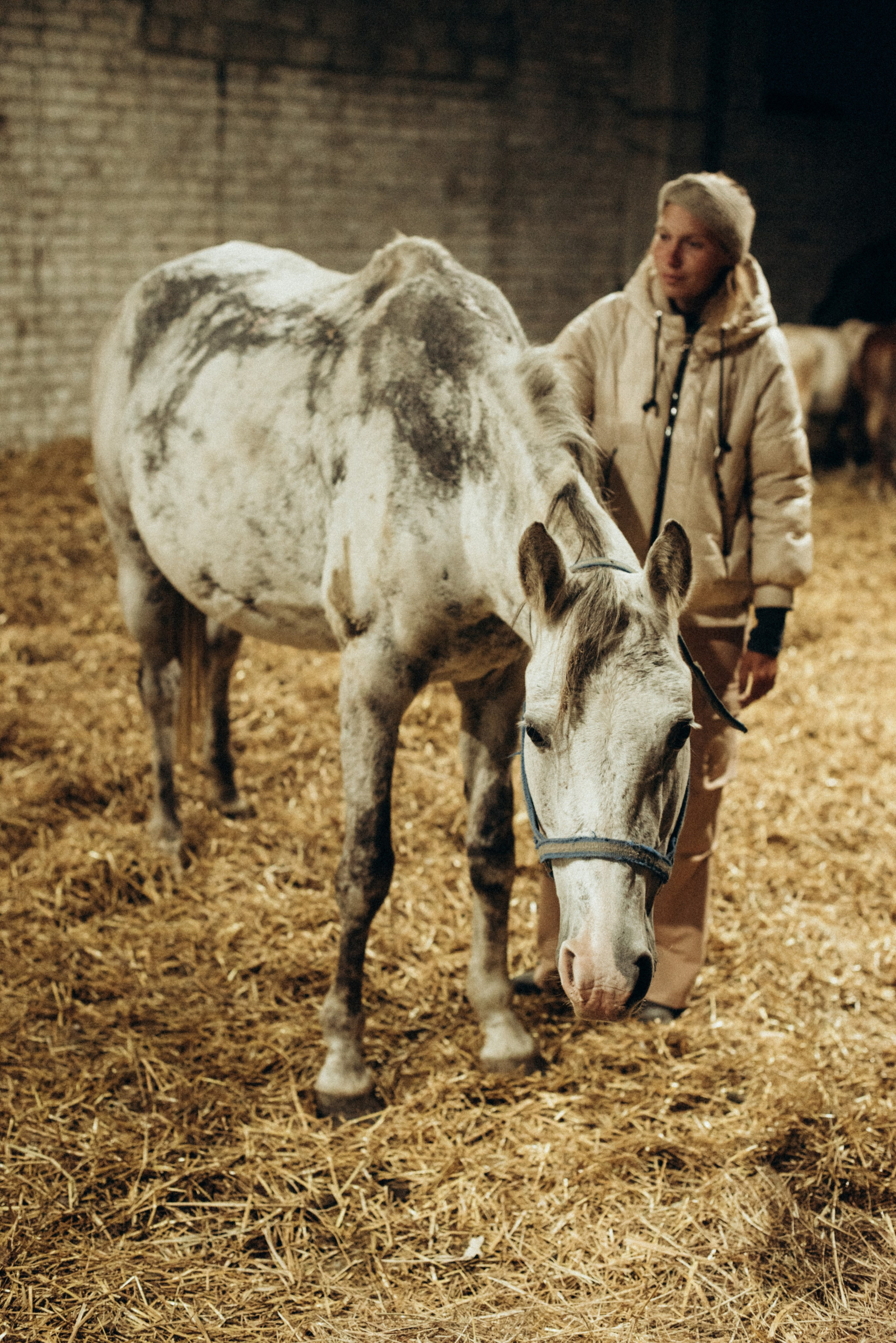 ХВОСТАТЫЕ. Дом обретенный. Детский и семейный фотограф выпускной альбом Приморско-Ахтарск