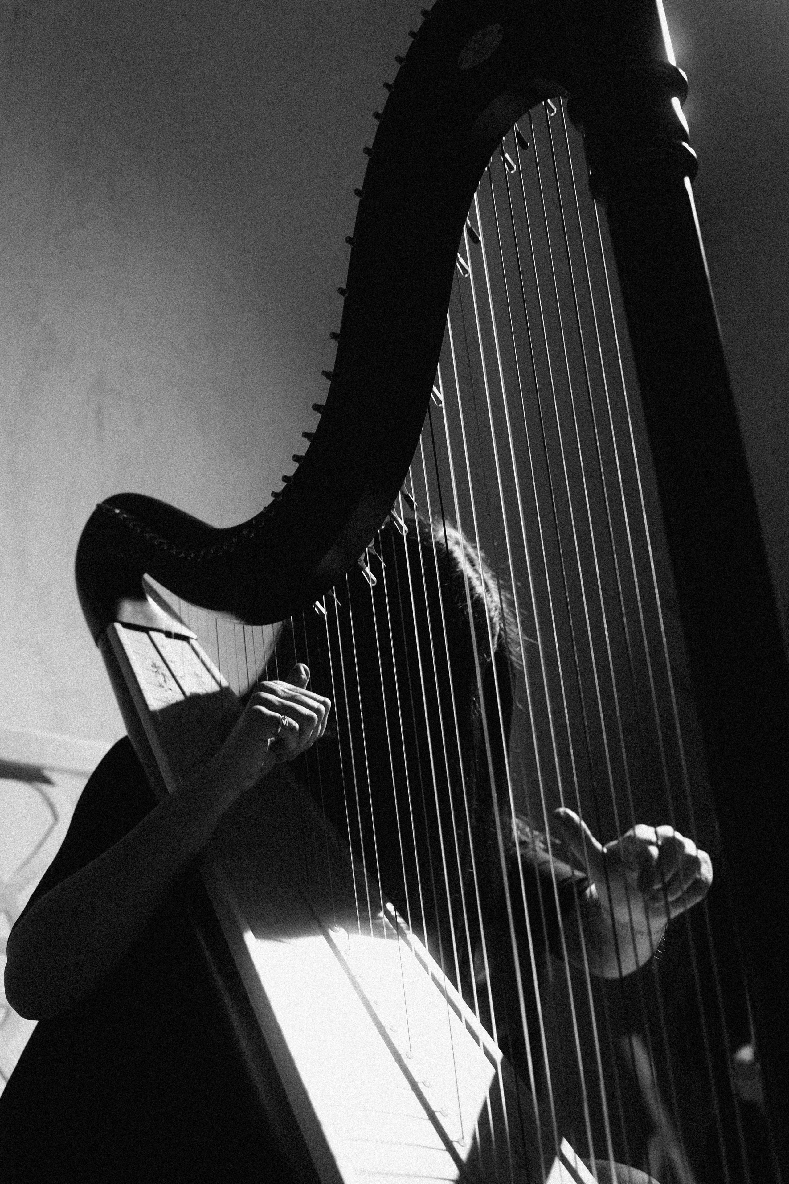 Арфовый дом. Veronika Popadeikina Photographer