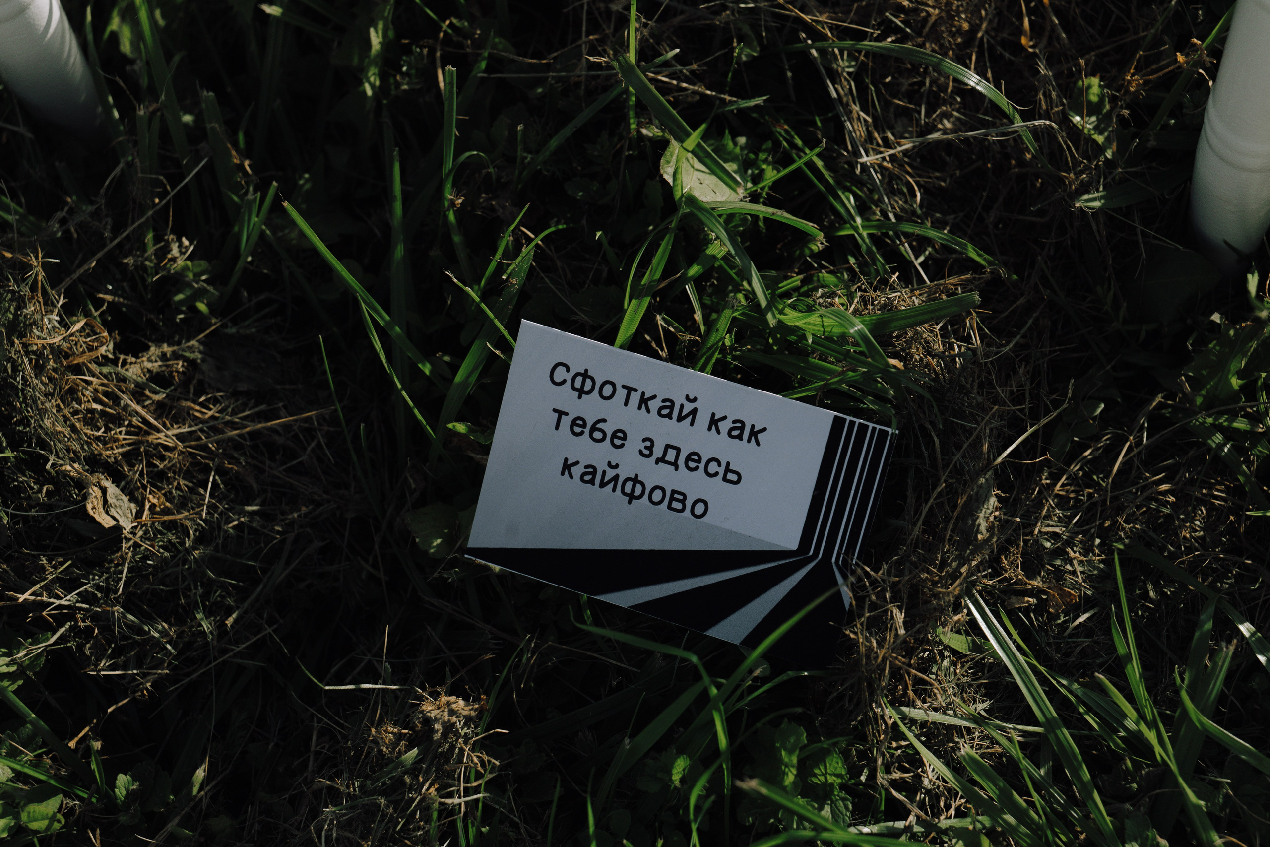 ALEXANDER & DASHA (horse-park). Фотограф Андрей Ширкалин Москва Московская обл, Коломна, Рязань