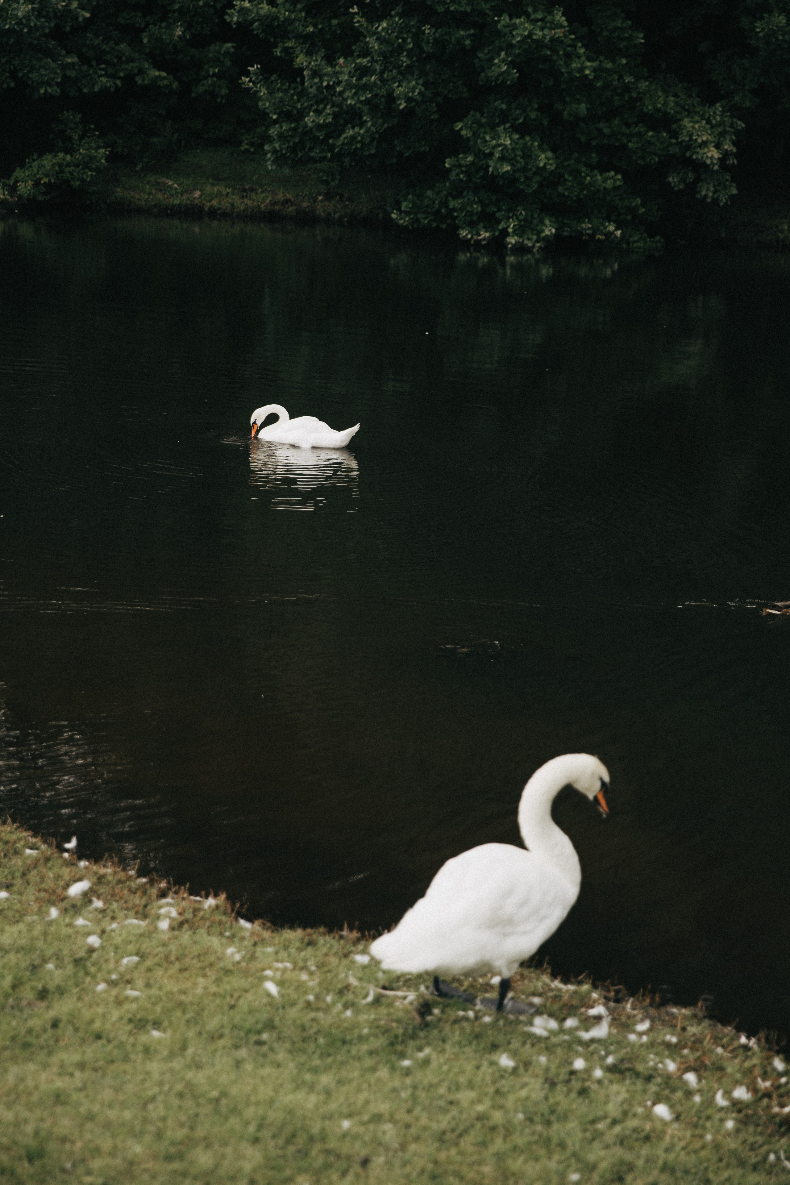 Александра и Илья. Свадебный и портретный фотограф в Калининграде и Москве Марк Юдинцев