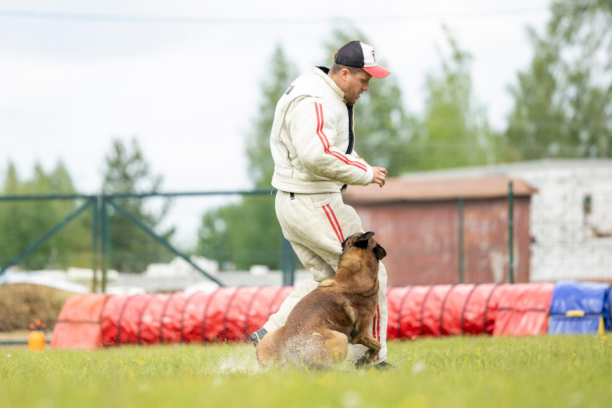 Испытания по мондьорингу в Нижнем Новгороде. Фотограф-анималист Анна Маринич