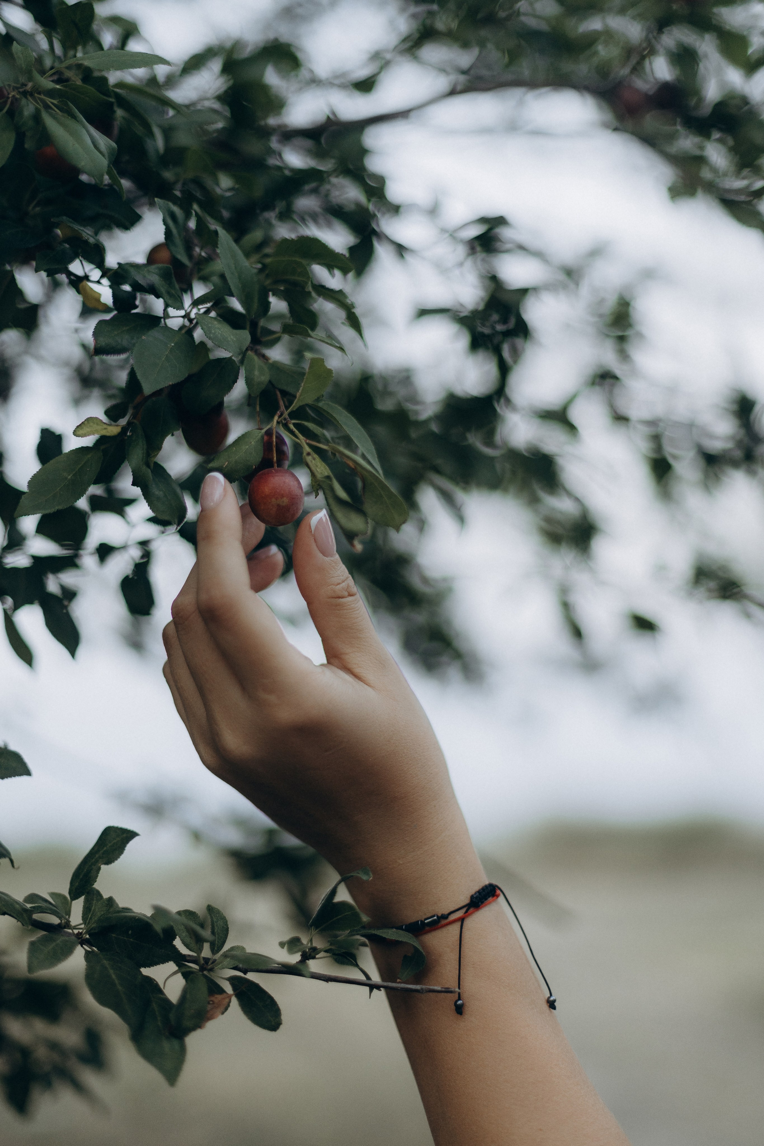 Марго и Дима. Главная