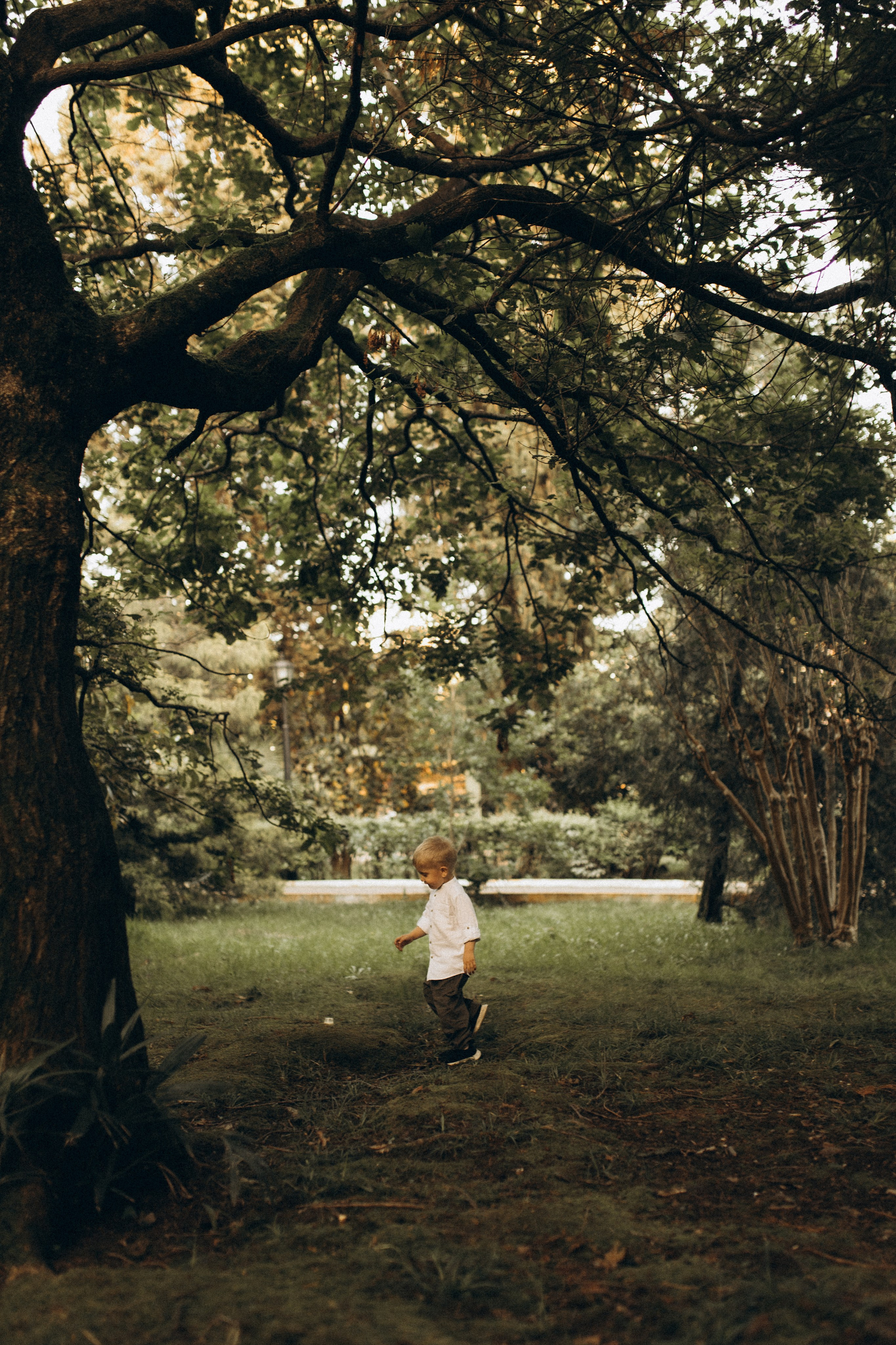 Парк Ривьера. Анна и Андрей. Яна Романова Семейный фотограф в Сочи и Адлере