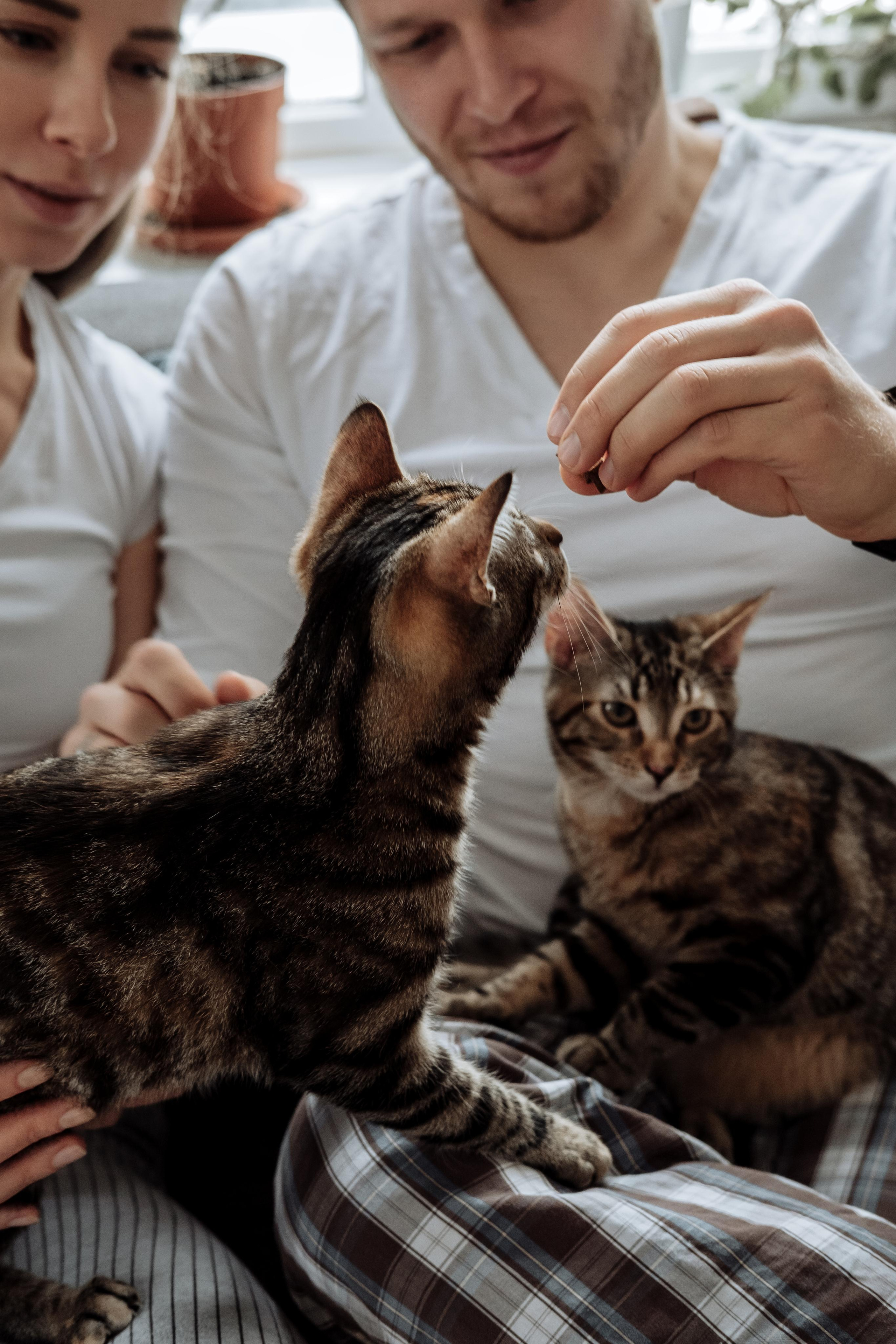Ivan & Anna. Photographer Cologne Bonn Europe Anna Ketova