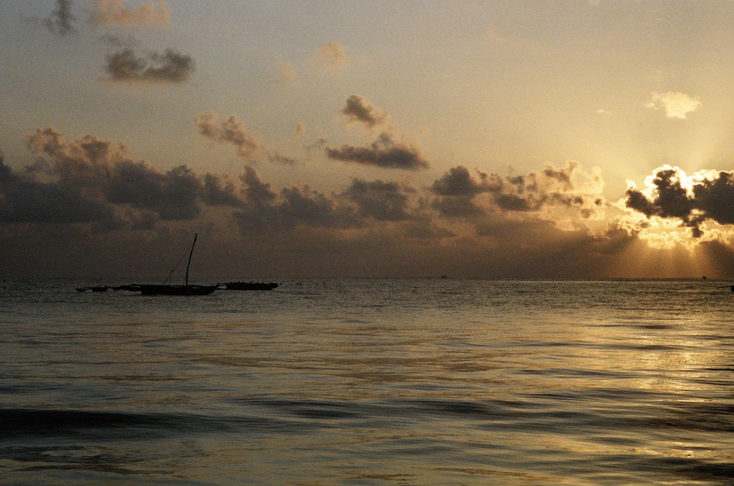 Занзибар 2021 из Красноярска. Тропики на пленку. Пленочная фотография. Biser Lab | Свадебное кино и фотография в Красноярске — Евгений Константинопольский