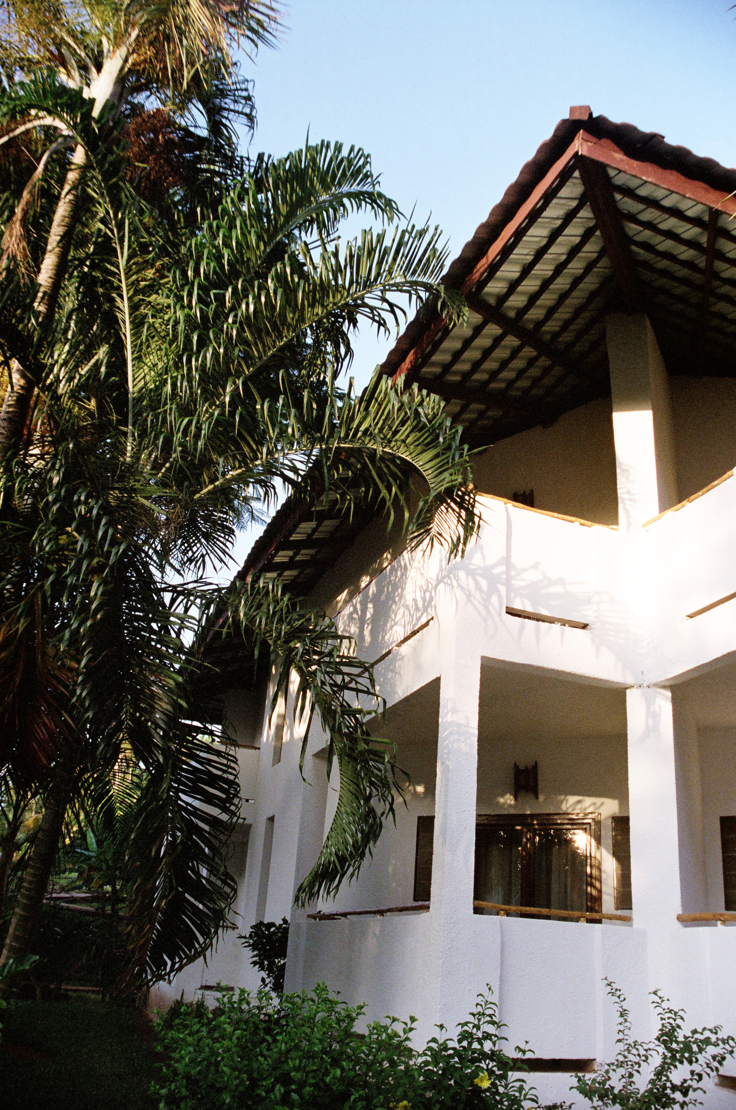 Занзибар 2021 из Красноярска. Тропики на пленку. Пленочная фотография. Biser Lab | Свадебное кино и фотография в Красноярске — Евгений Константинопольский