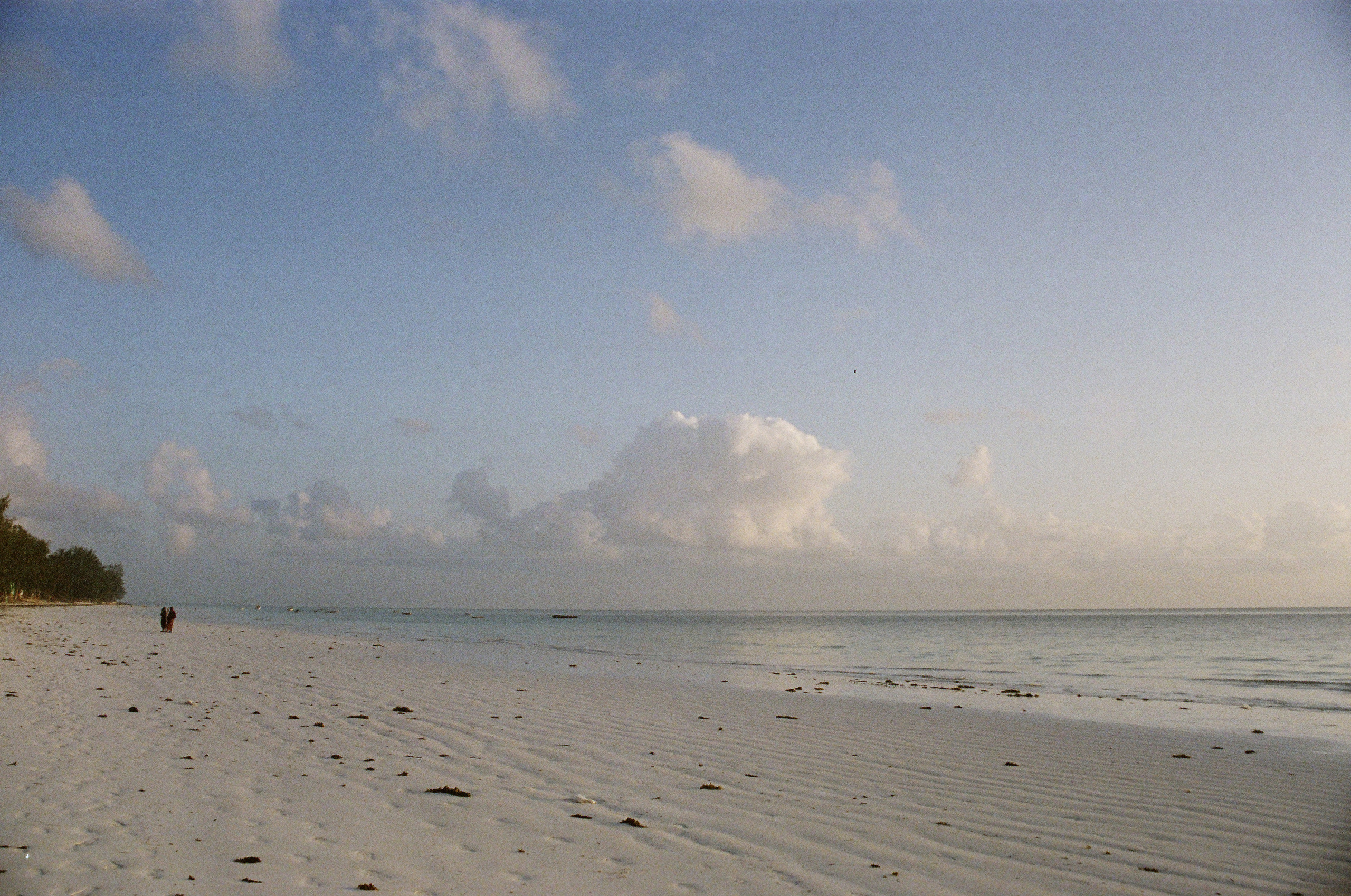 Занзибар 2021 из Красноярска. Тропики на пленку. Пленочная фотография. Biser Lab | Свадебное кино и фотография в Красноярске — Евгений Константинопольский