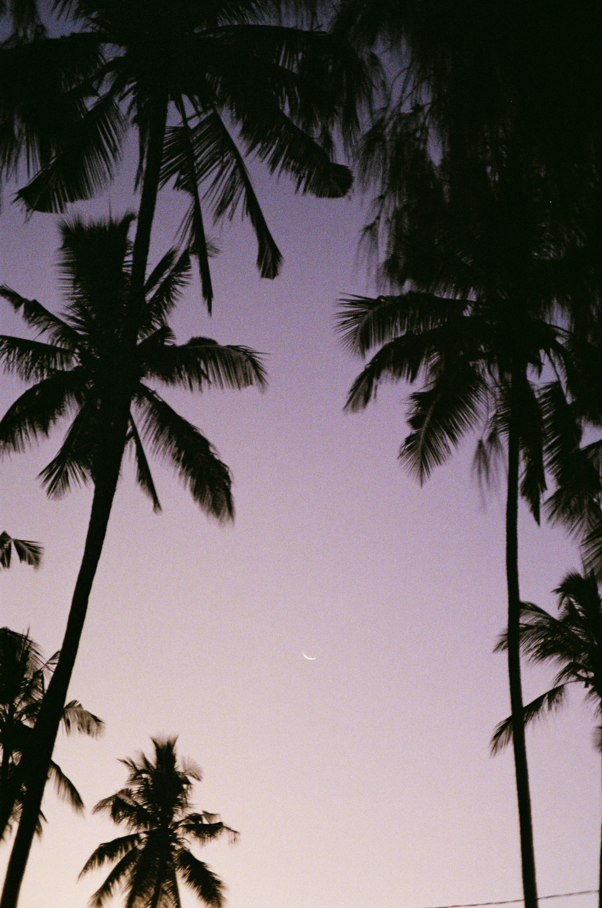 Занзибар 2021 из Красноярска. Тропики на пленку. Пленочная фотография. Biser Lab | Свадебное кино и фотография в Красноярске — Евгений Константинопольский