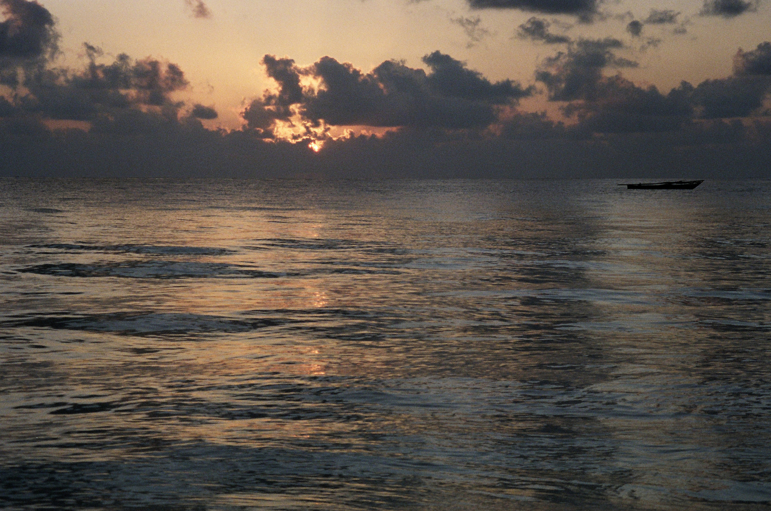 Занзибар 2021 из Красноярска. Тропики на пленку. Пленочная фотография. Biser Lab | Свадебное кино и фотография в Красноярске — Евгений Константинопольский