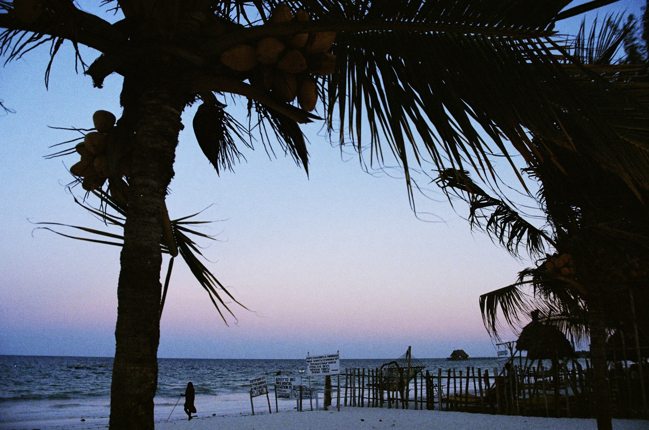 Занзибар 2021 из Красноярска. Тропики на пленку. Пленочная фотография. Biser Lab | Свадебное кино и фотография в Красноярске — Евгений Константинопольский