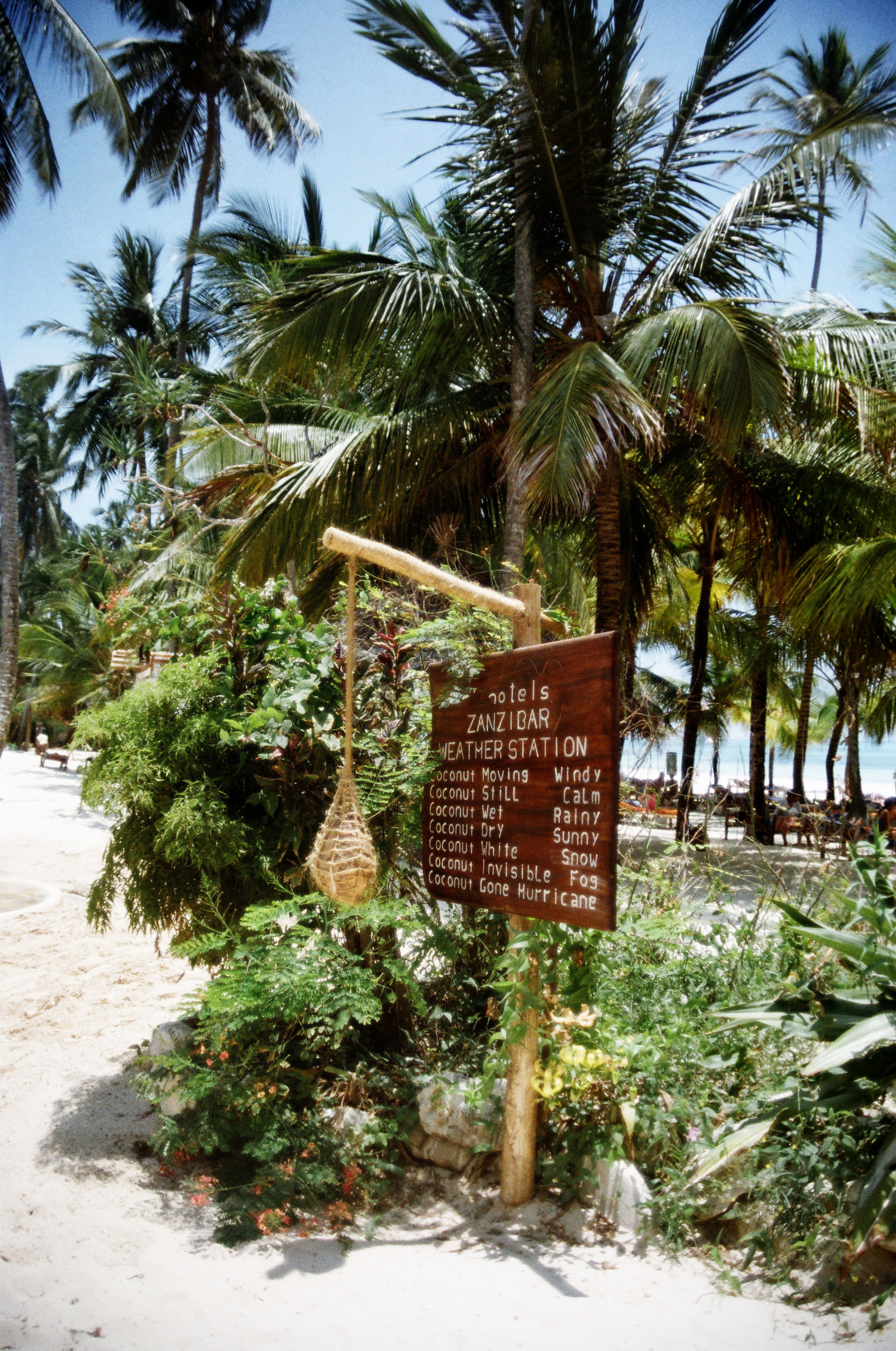 Занзибар 2021 из Красноярска. Тропики на пленку. Пленочная фотография. Biser Lab | Свадебное кино и фотография в Красноярске — Евгений Константинопольский