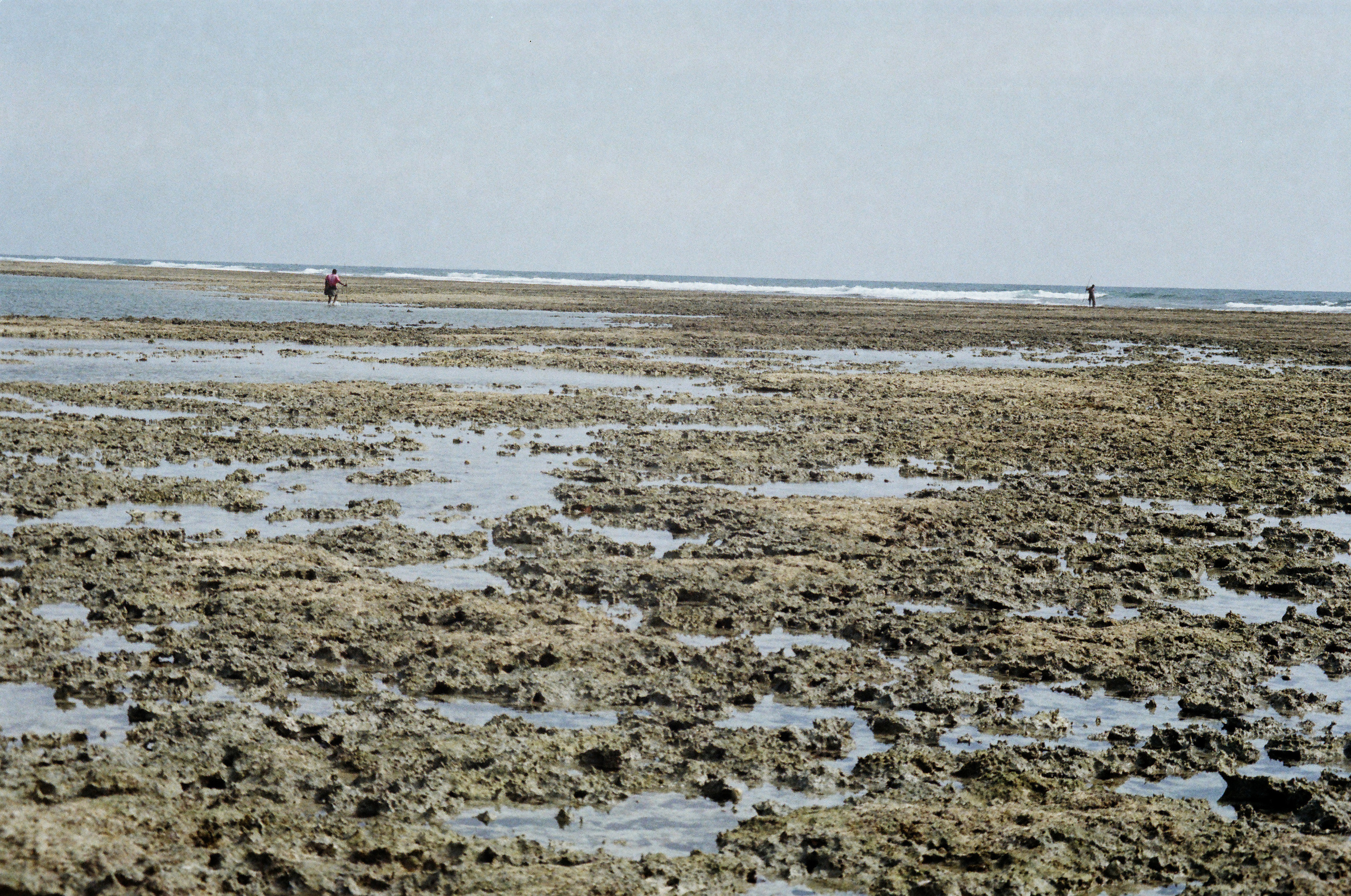 Занзибар 2021 из Красноярска. Тропики на пленку. Пленочная фотография. Biser Lab | Свадебное кино и фотография в Красноярске — Евгений Константинопольский