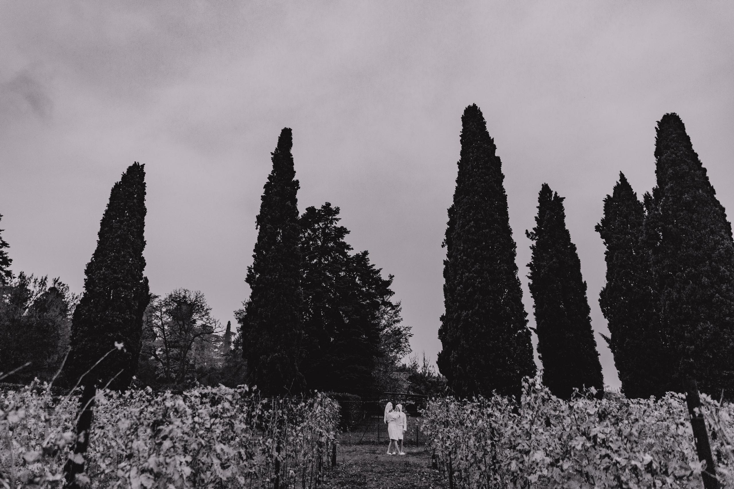 Кино Италия (дополняется). Свадебный фотограф-видеограф в Красноярске Евгений Константинопольский