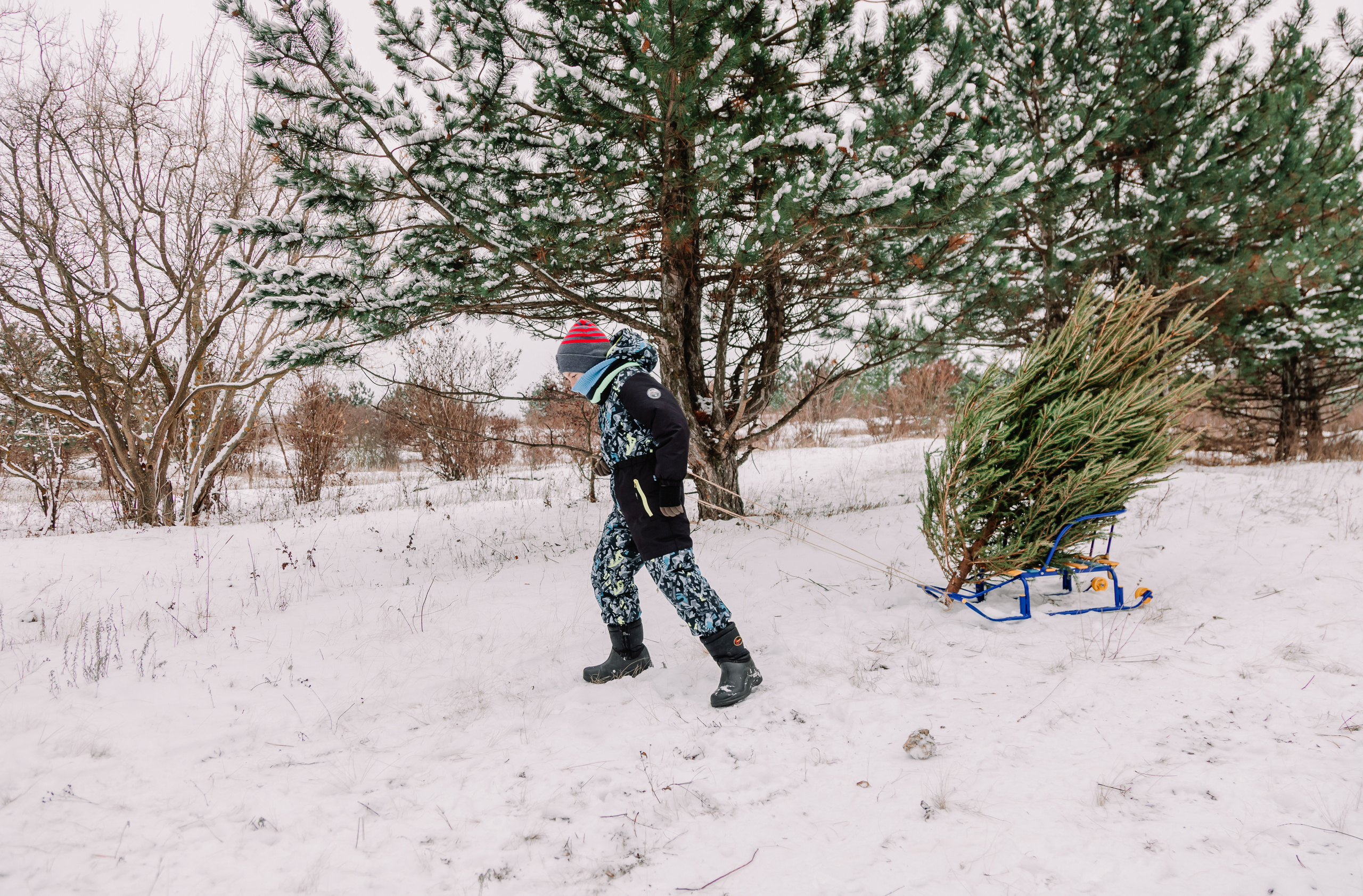 Зимние каникулы 2. Семейный фотограф в Таганроге Виктория Макаренко