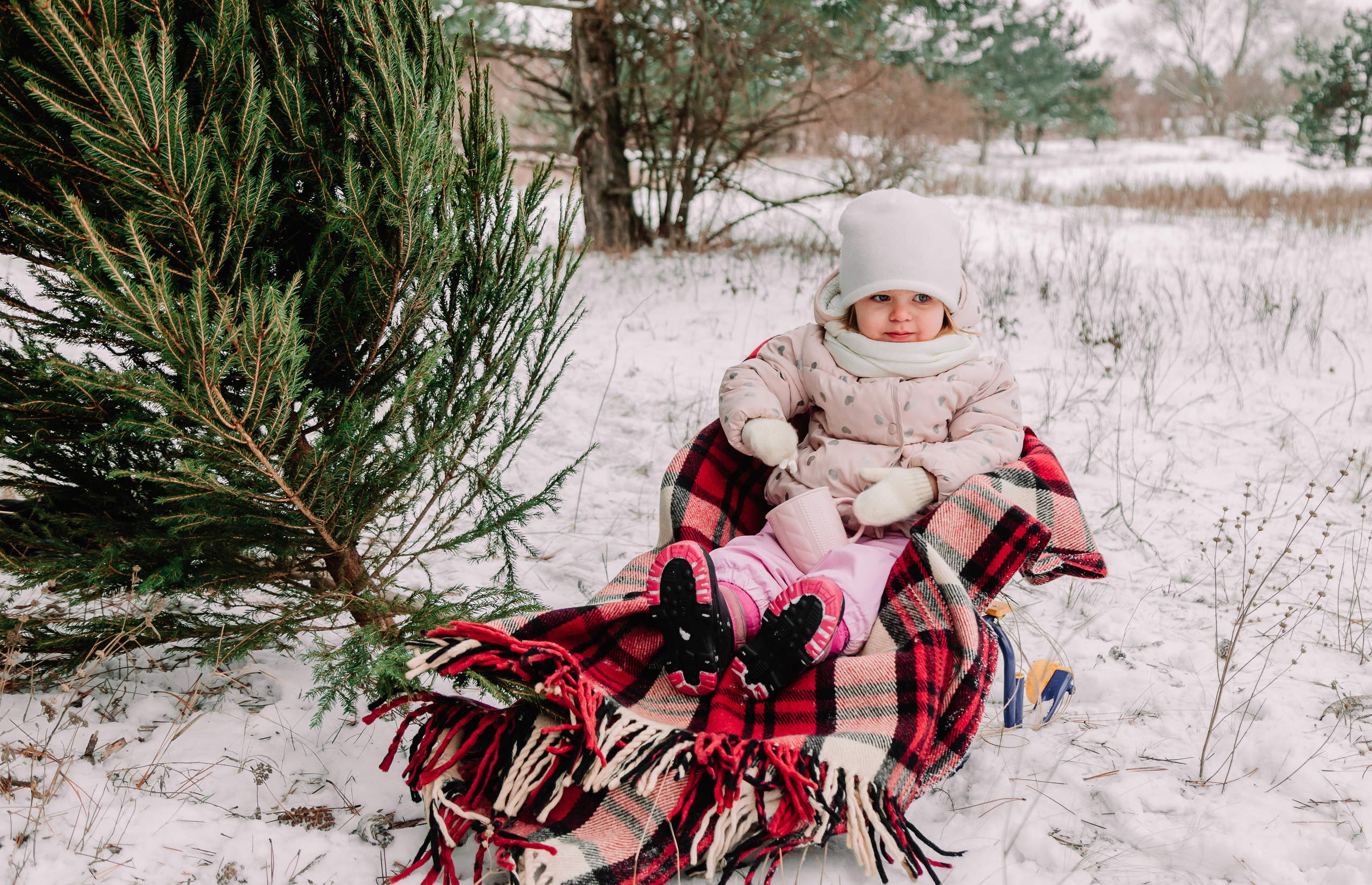 Зимние каникулы 2. Семейный фотограф в Таганроге Виктория Макаренко