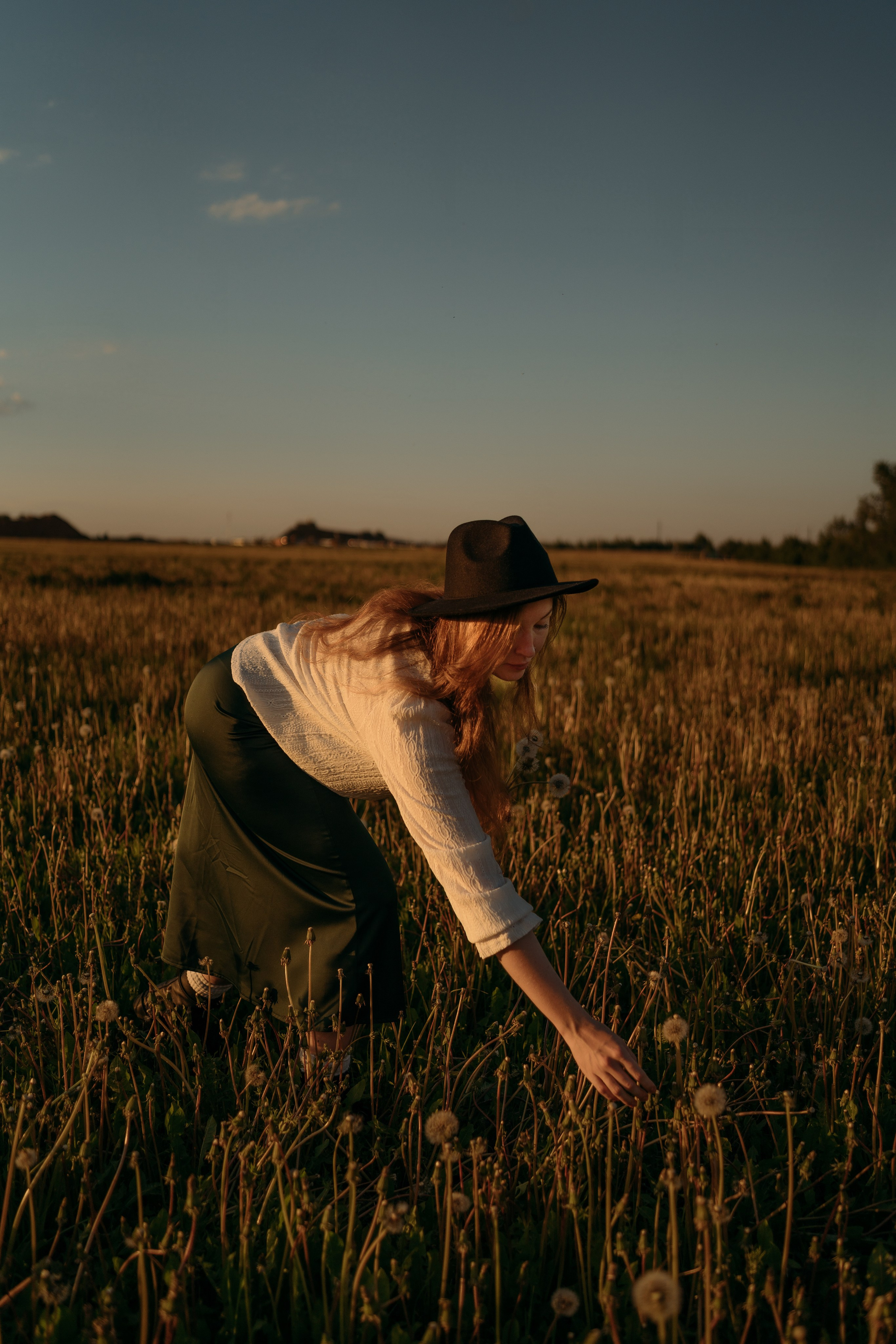 Одуванчики…. FotoTanya. Раменское/Жуковский/Бронницы