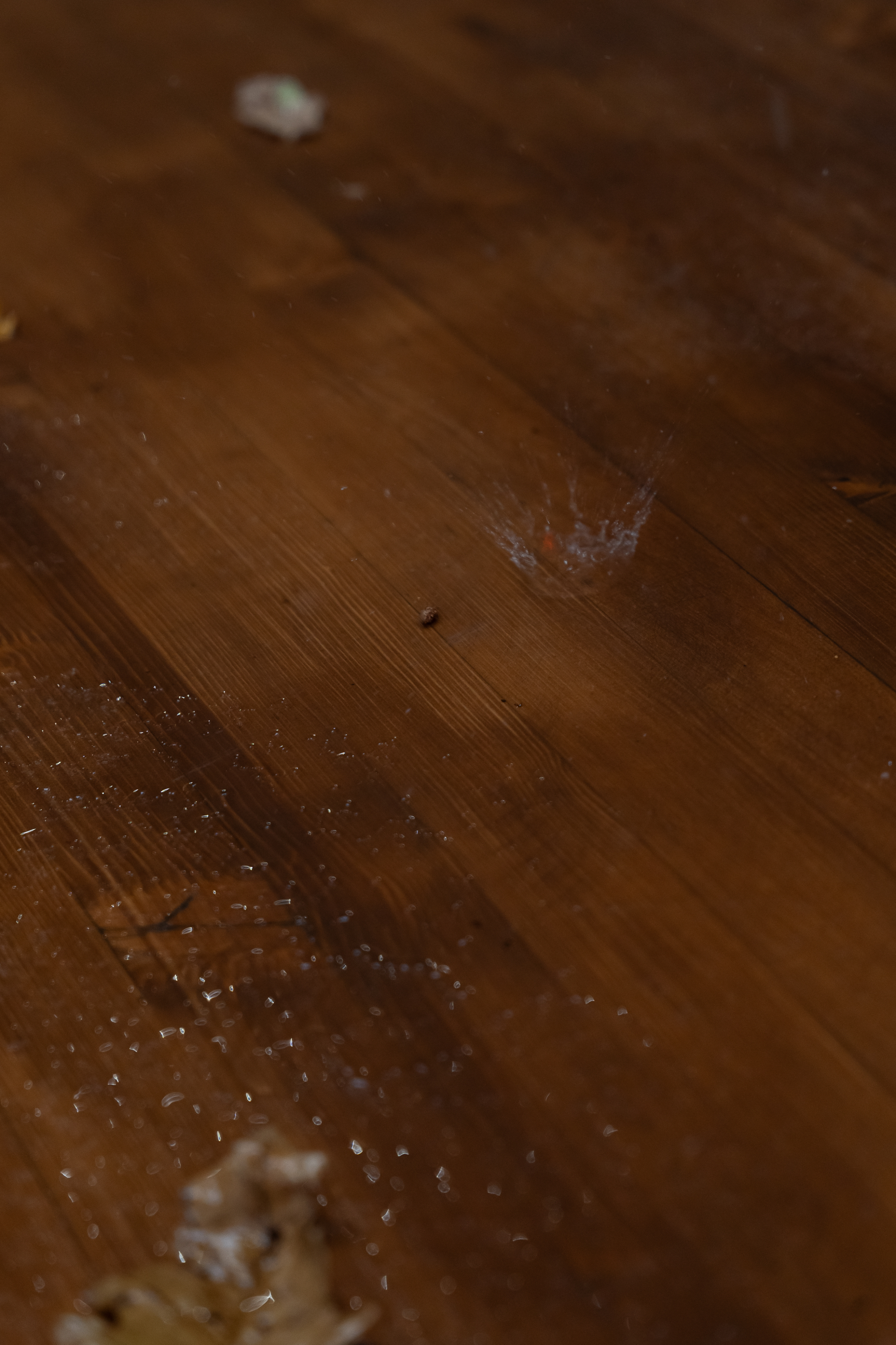 Лето в наших сердцах. Свадебный и репортажный фотограф Москва