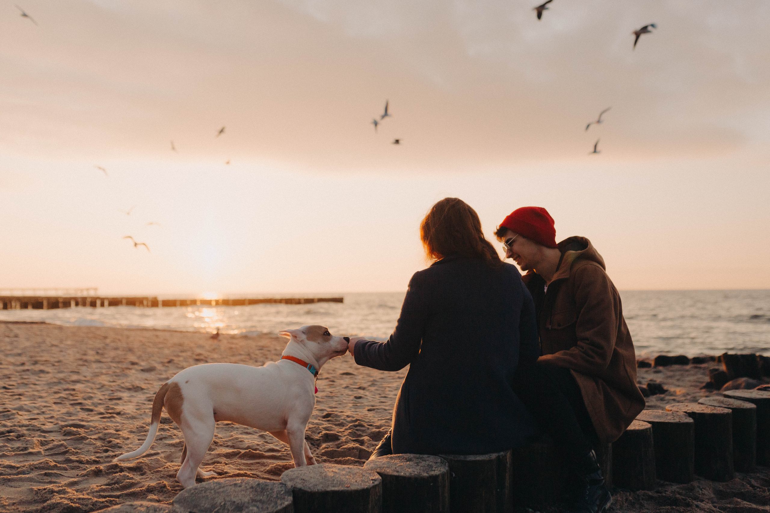 На закате марта. Фотограф Зеленоградск Красильникова Елена