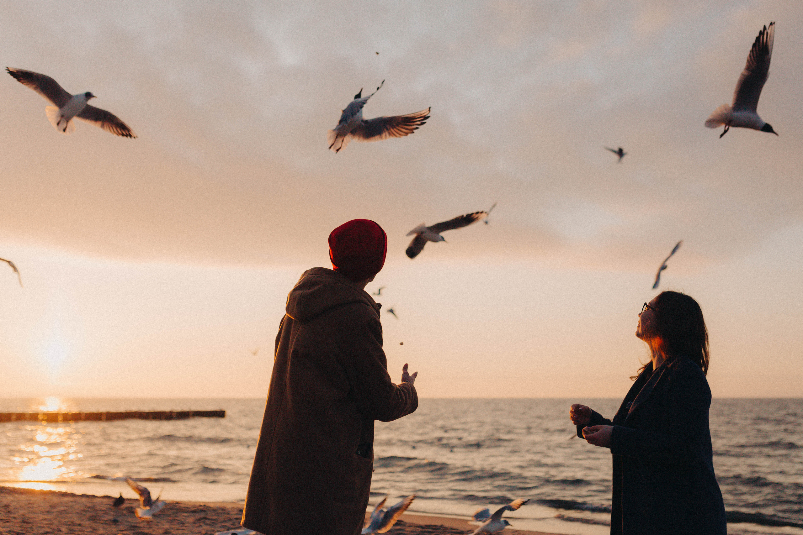 На закате марта. Фотограф Зеленоградск Красильникова Елена