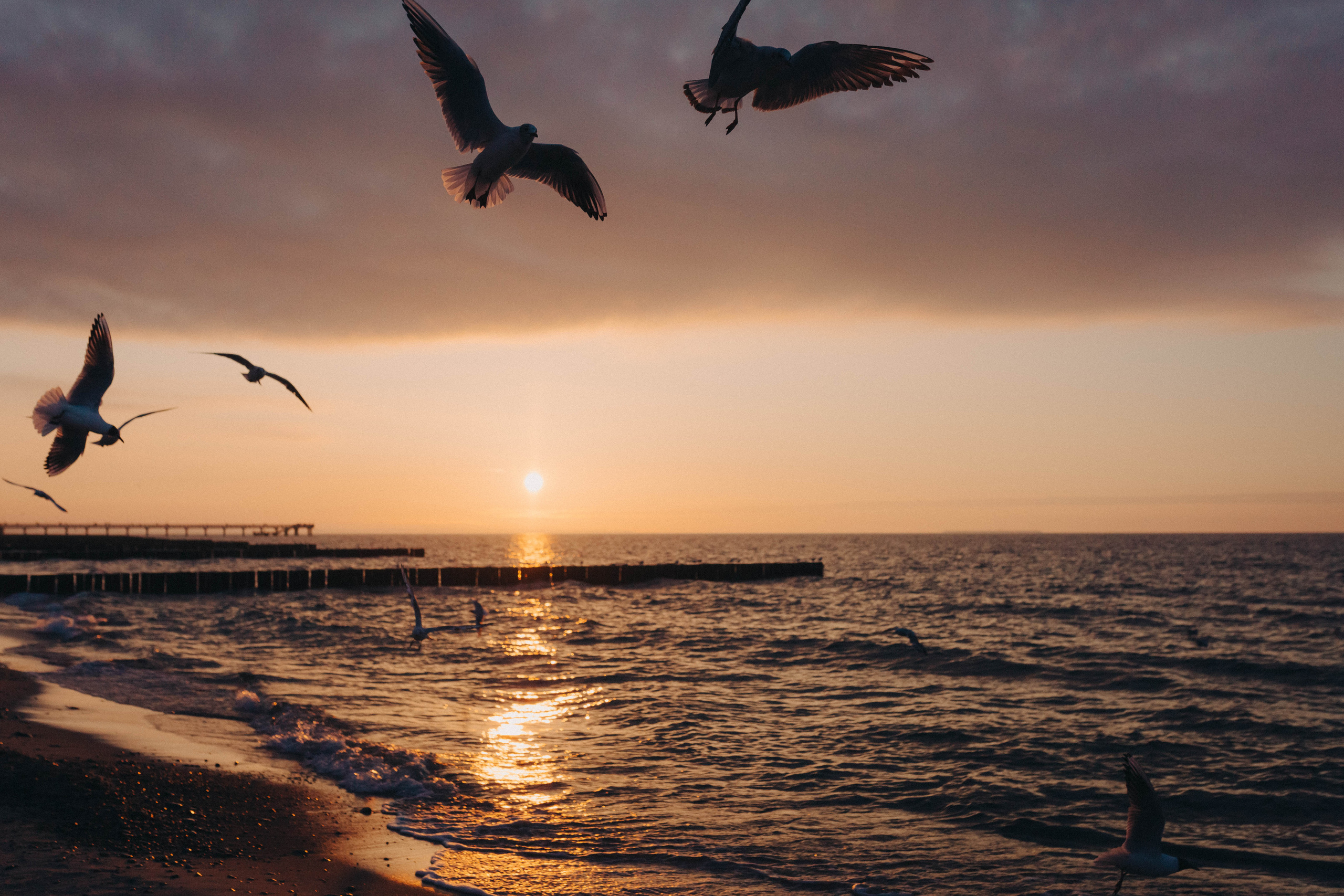 На закате марта. Фотограф Зеленоградск Красильникова Елена