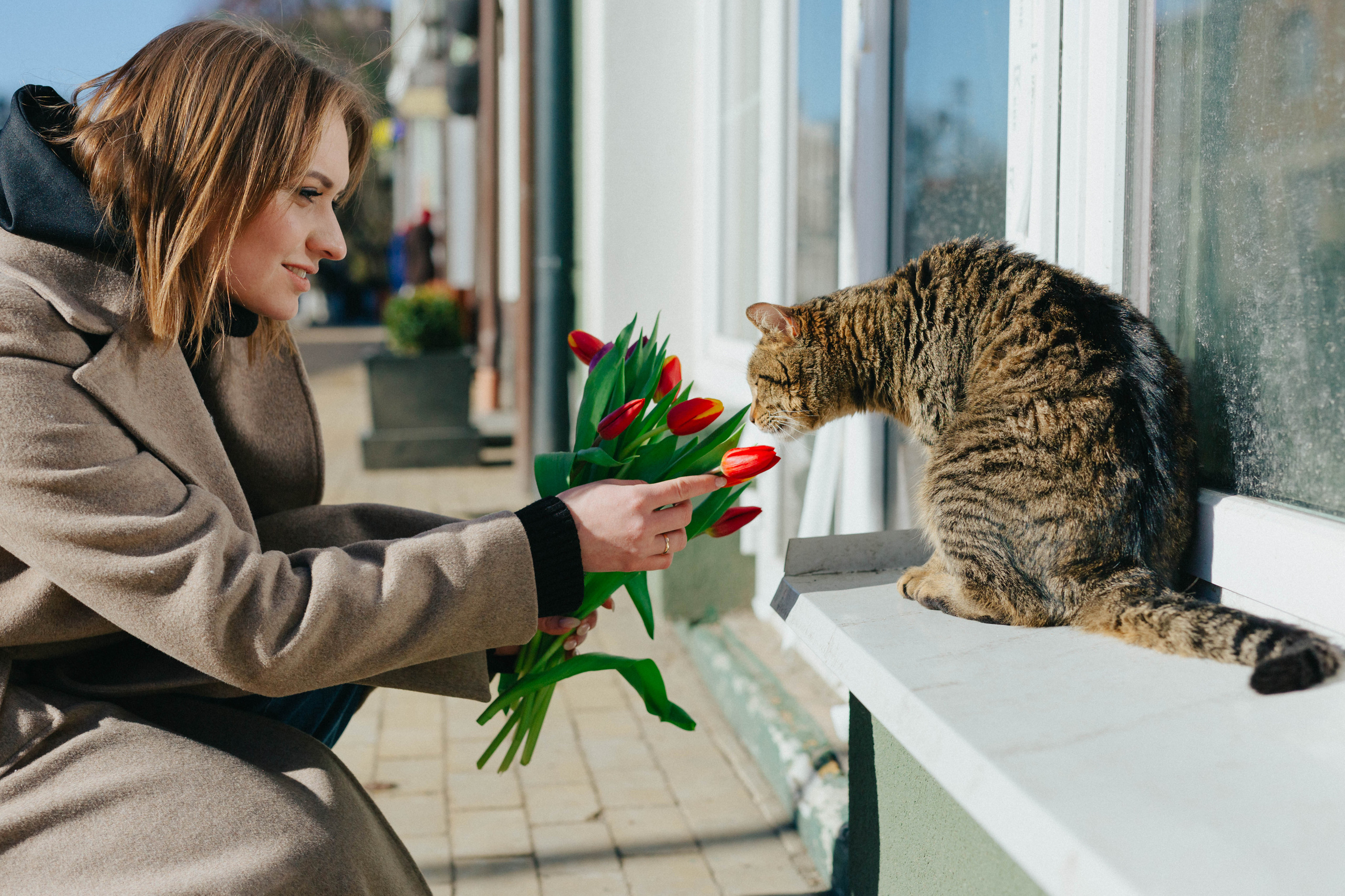Любовь в морозный март. Фотограф Зеленоградск Красильникова Елена
