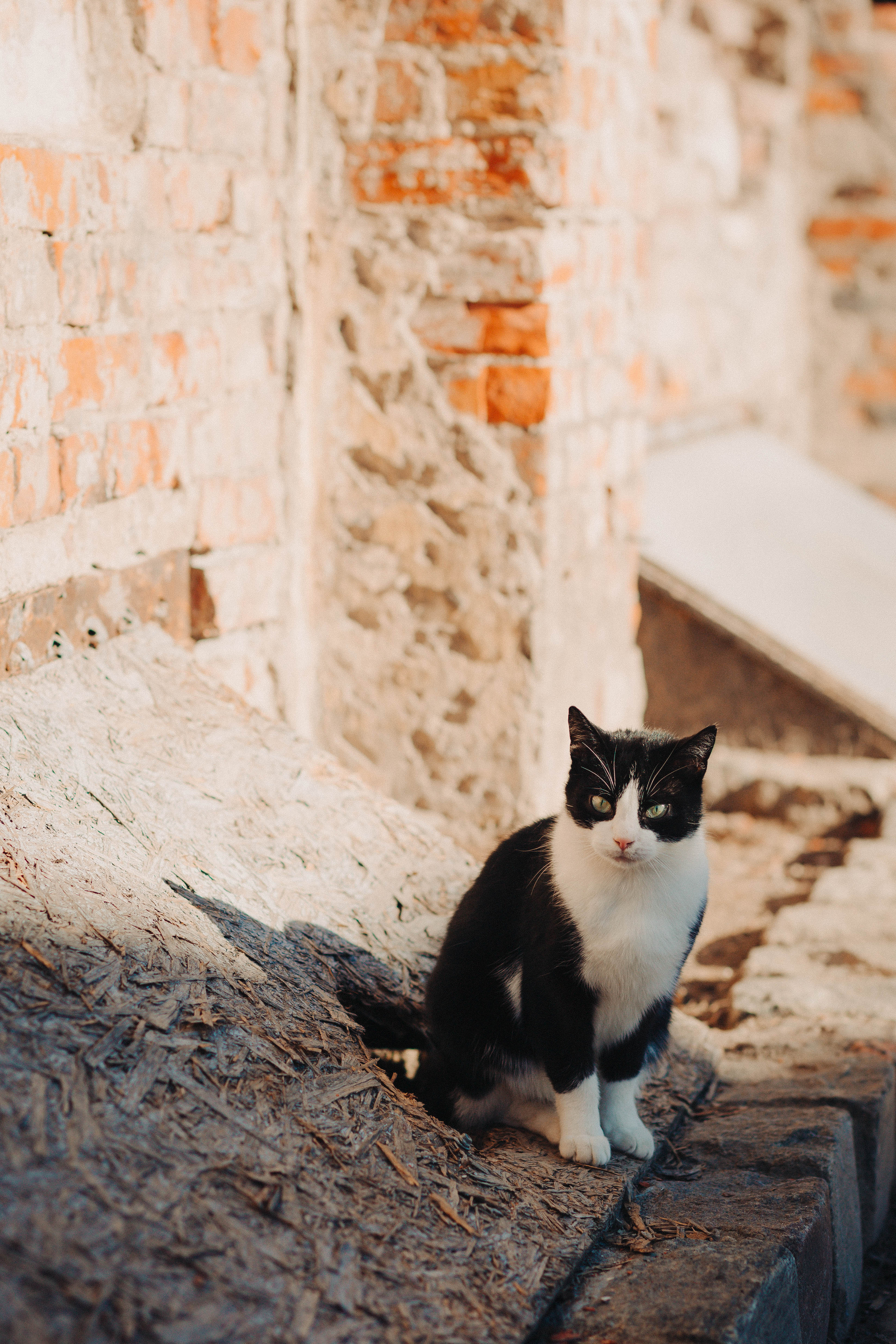Любовь в морозный март. Фотограф Зеленоградск Красильникова Елена