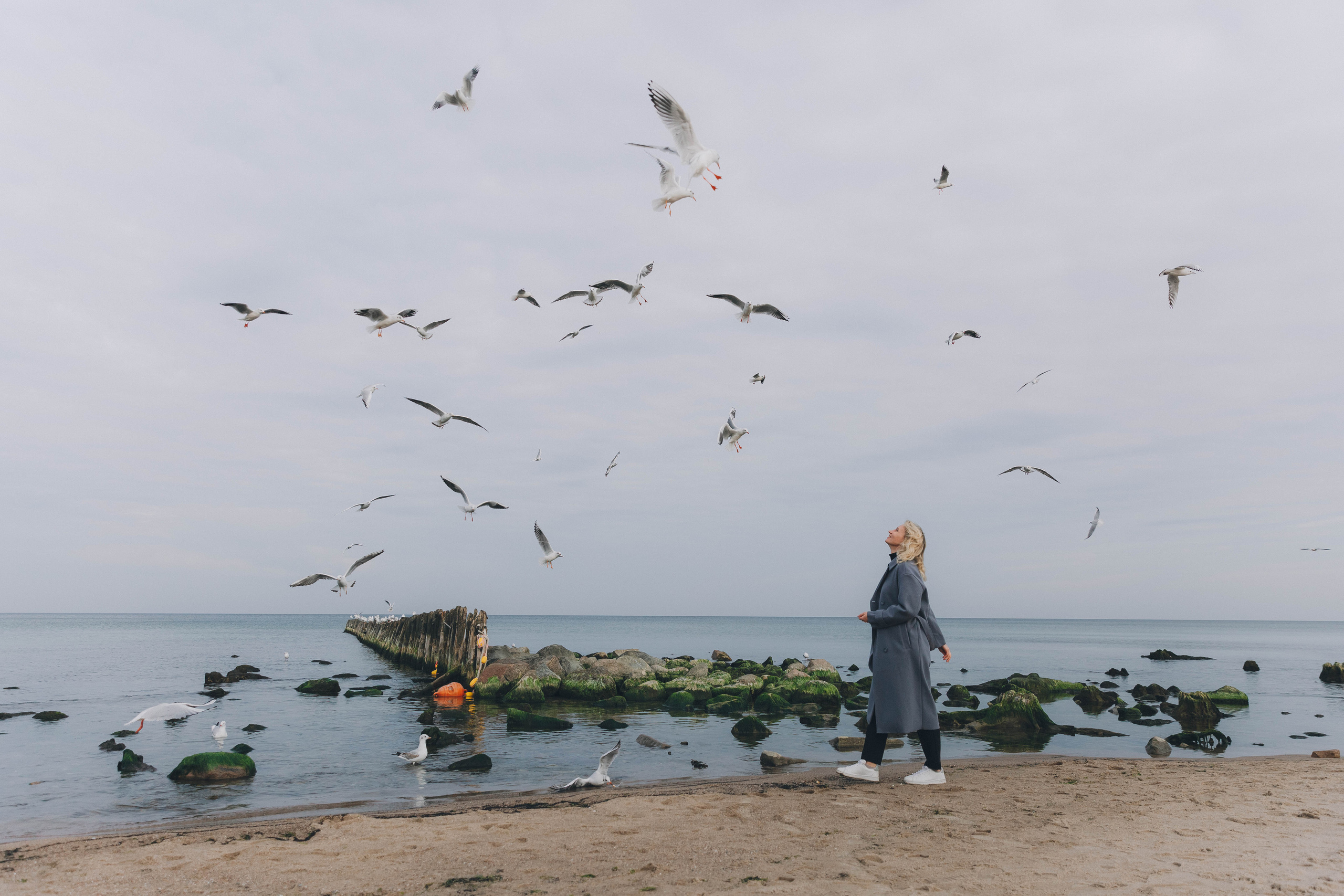 Екатерина. Фотограф Зеленоградск Красильникова Елена