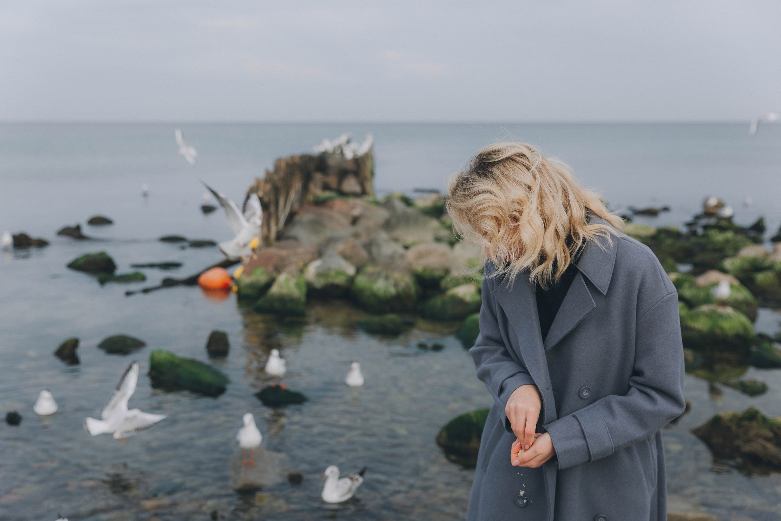 Екатерина. Фотограф Зеленоградск Красильникова Елена