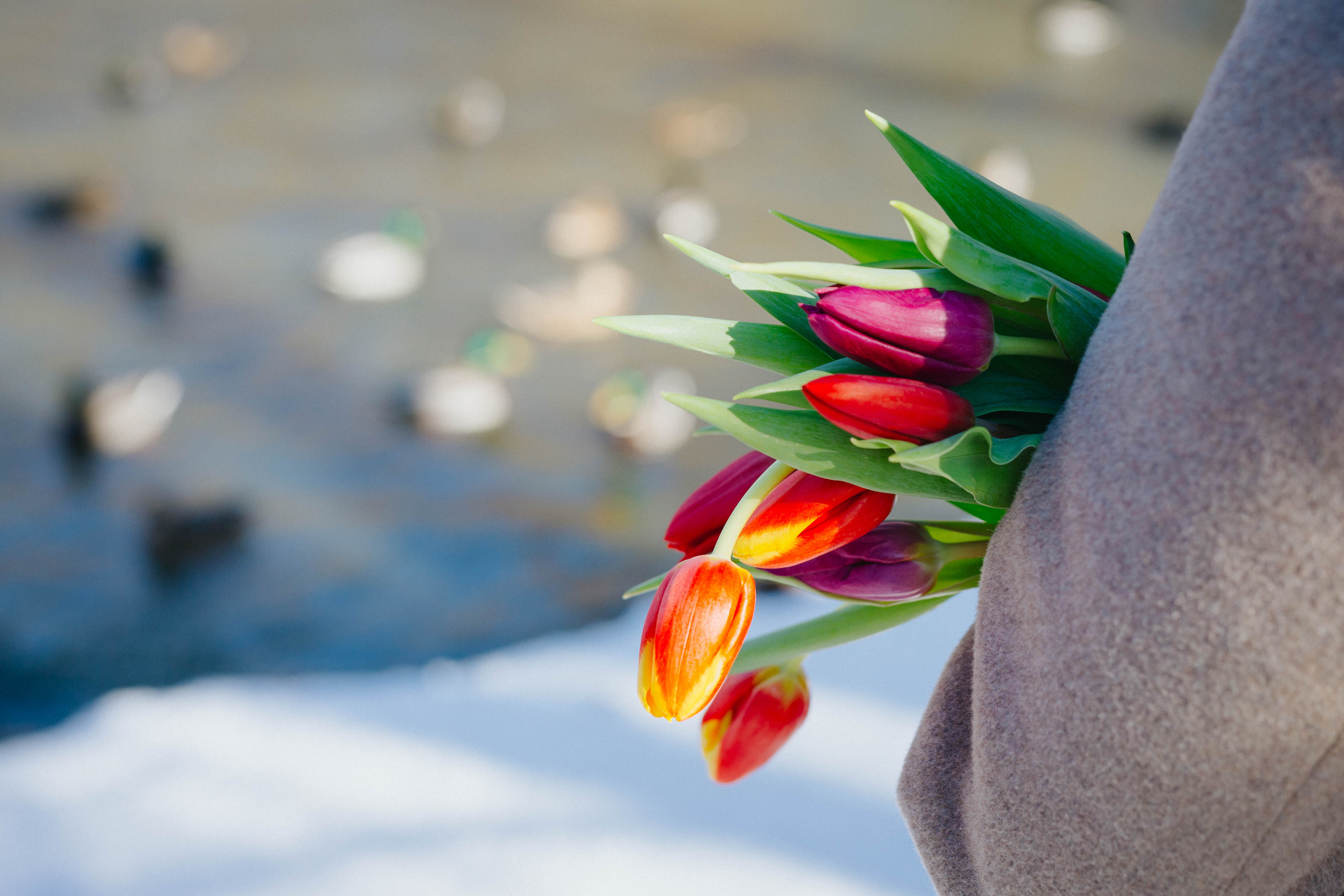 Любовь в морозный март. Фотограф Зеленоградск Красильникова Елена