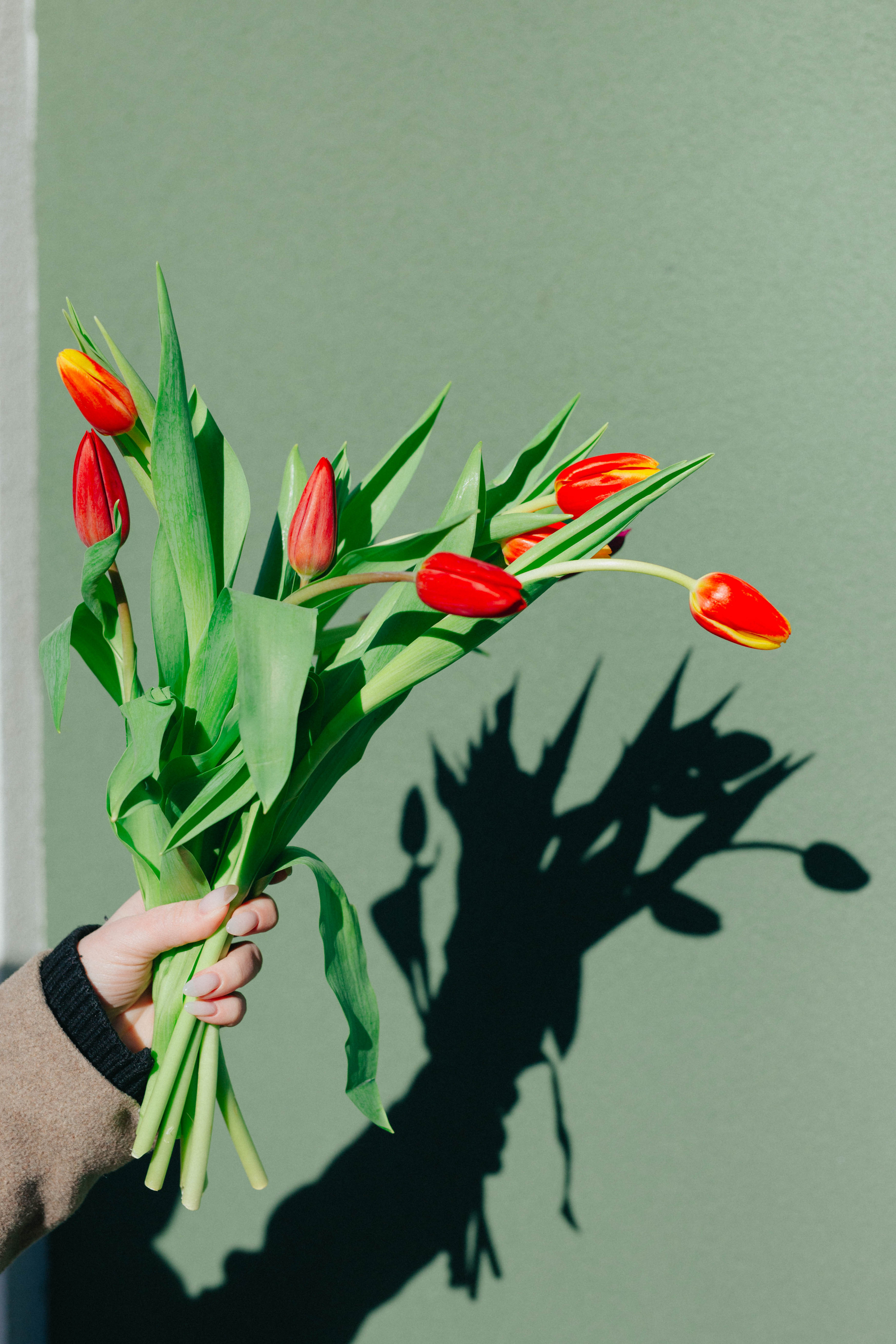 Любовь в морозный март. Фотограф Зеленоградск Красильникова Елена