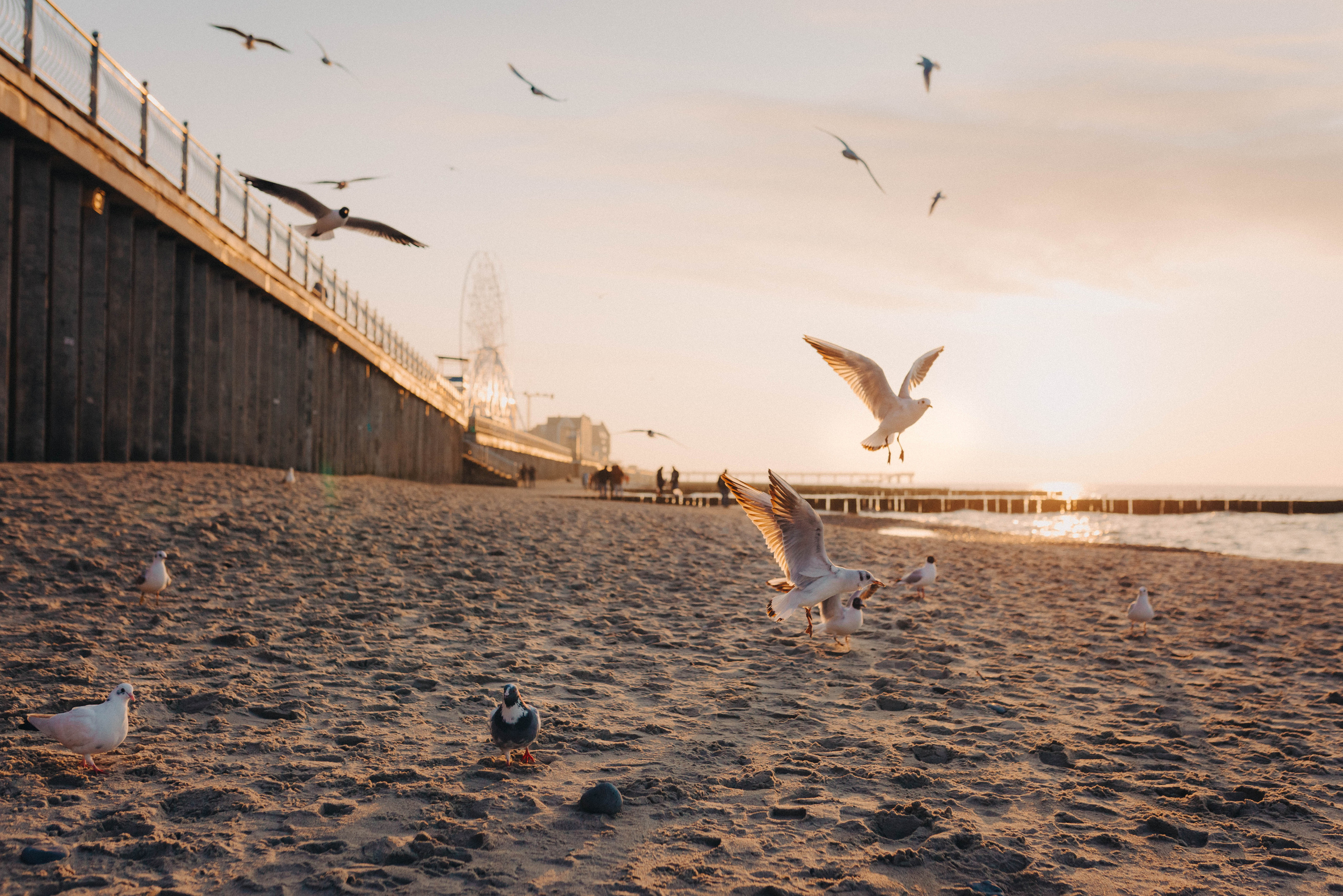На закате марта. Фотограф Зеленоградск Красильникова Елена
