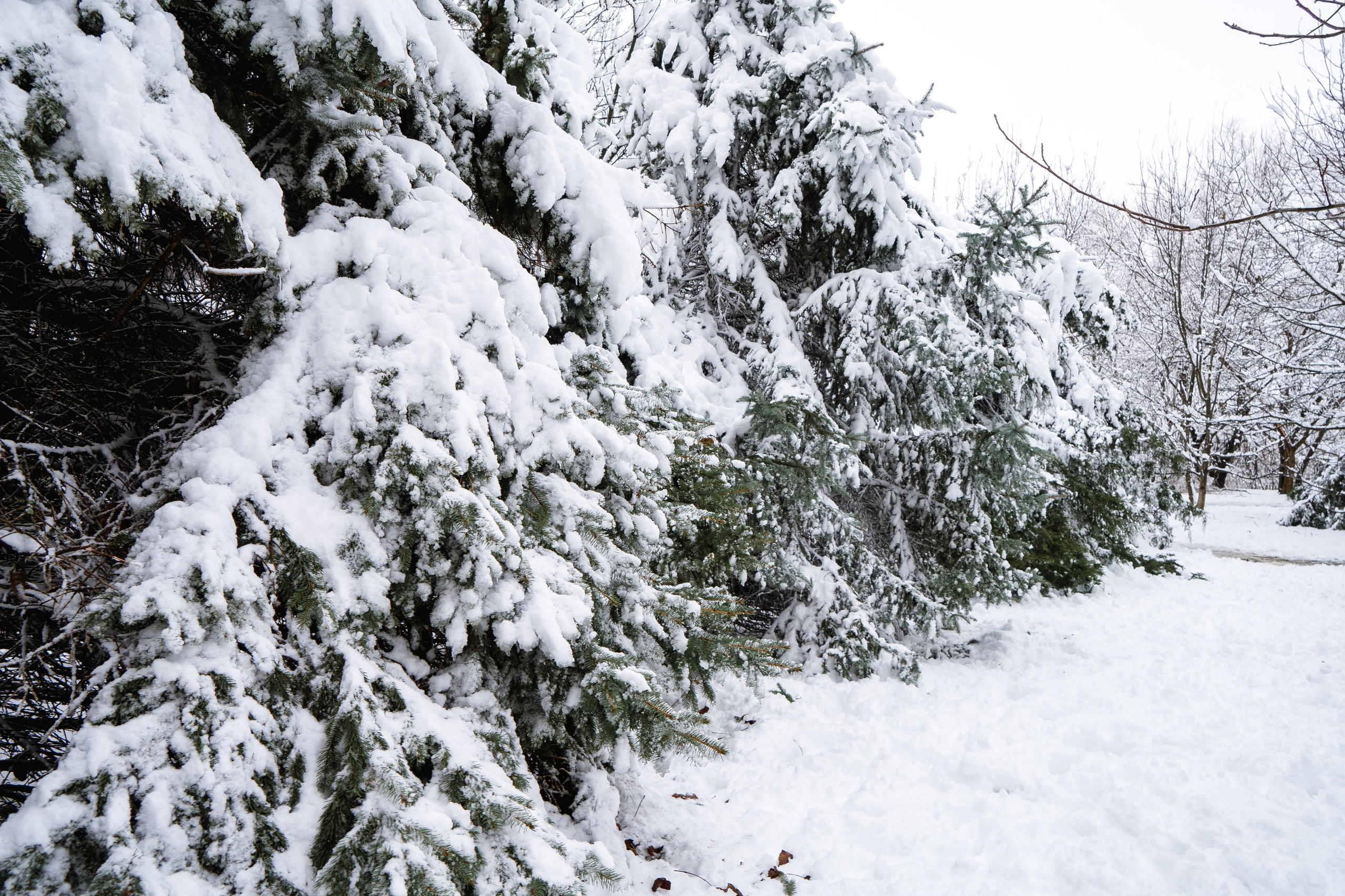 Зима 2024. Свадебный и семейный фотограф/видеограф в Краснодаре Наталья Осинская
