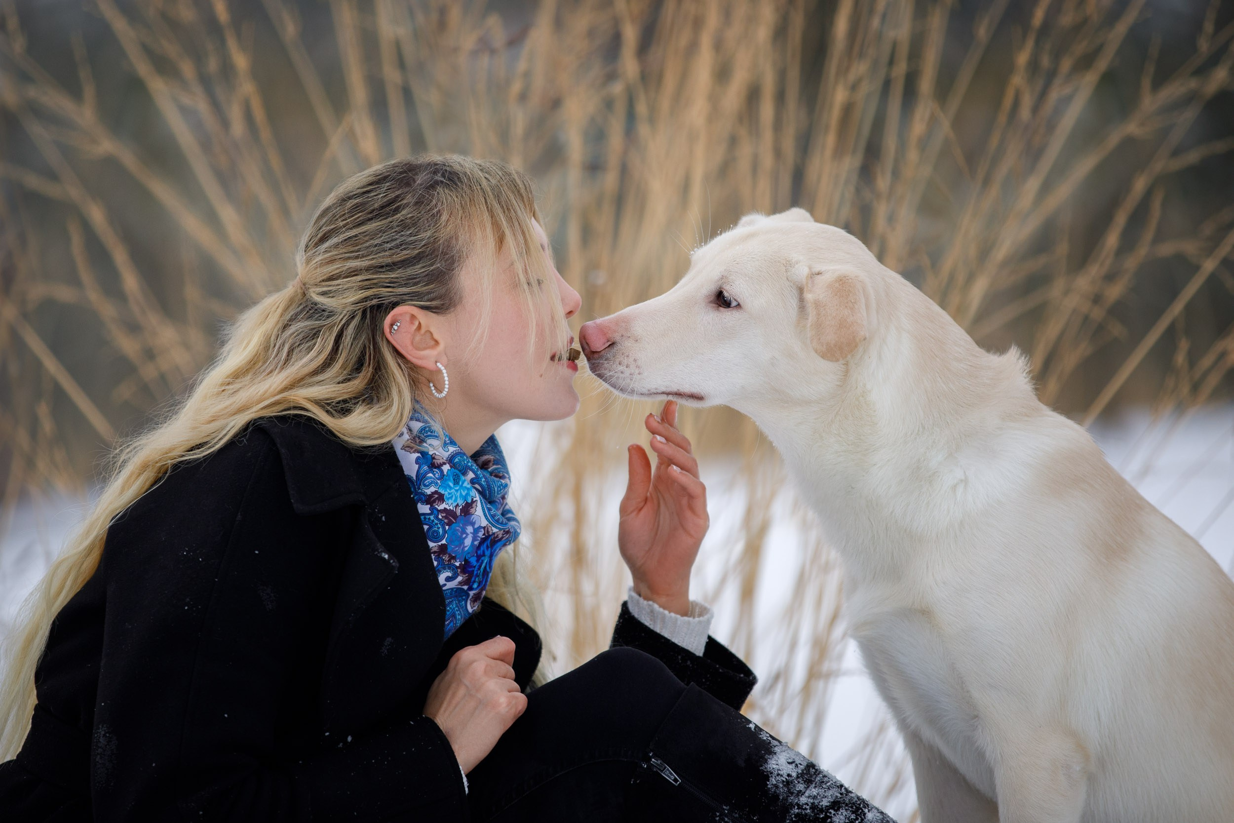 Фотопрогулка с Авророй и Амуром в Гольяново. Фотограф-анималист в Москве и Московской области Татьяна Фролова