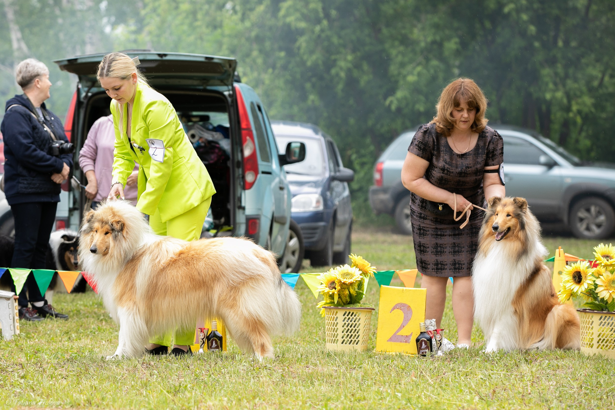 Фотосопровождение выставки собак в Московской области и Москве. Фотограф-анималист в Москве и Московской области Татьяна Фролова