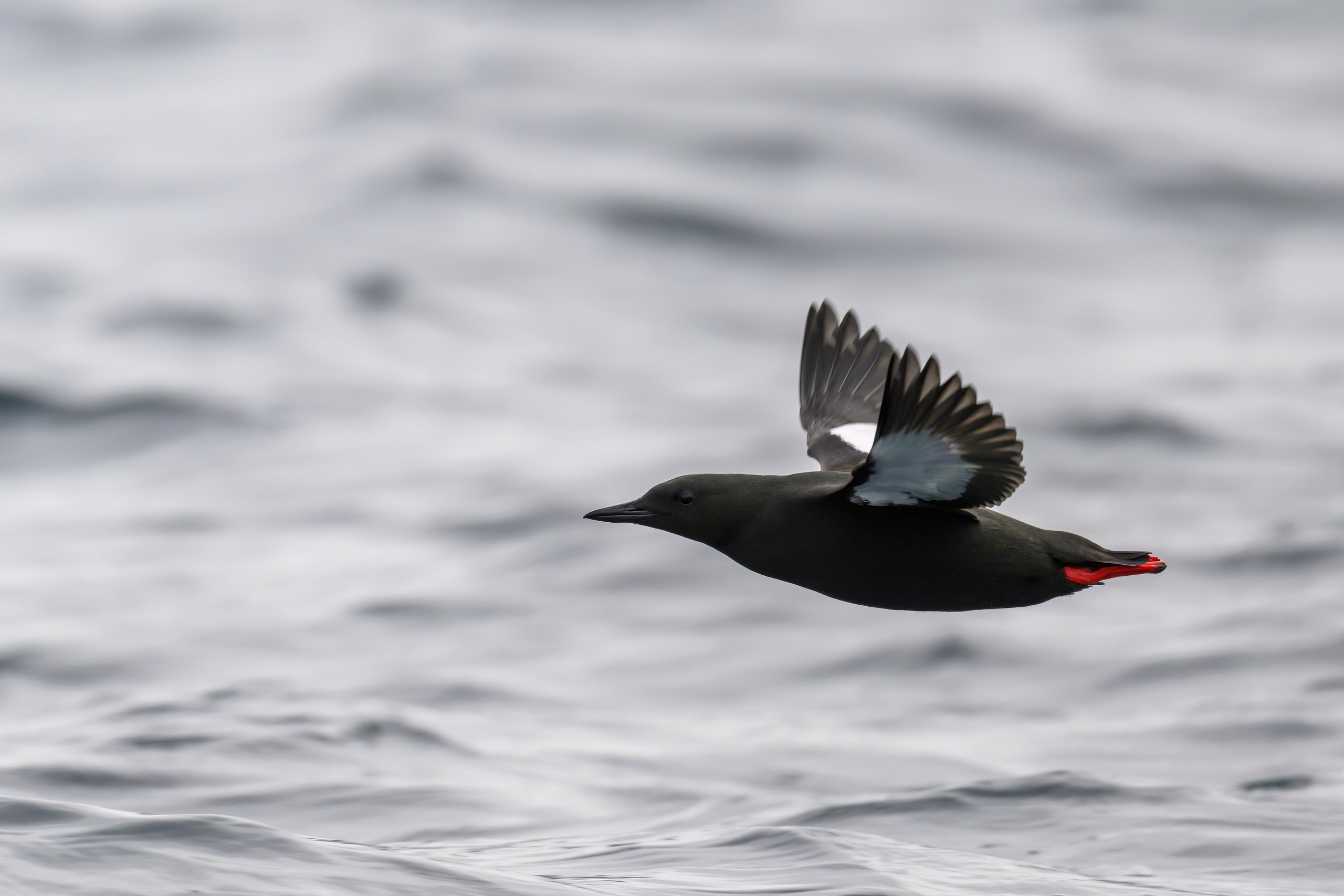 Чистики. Фотограф Сергей Пупонин