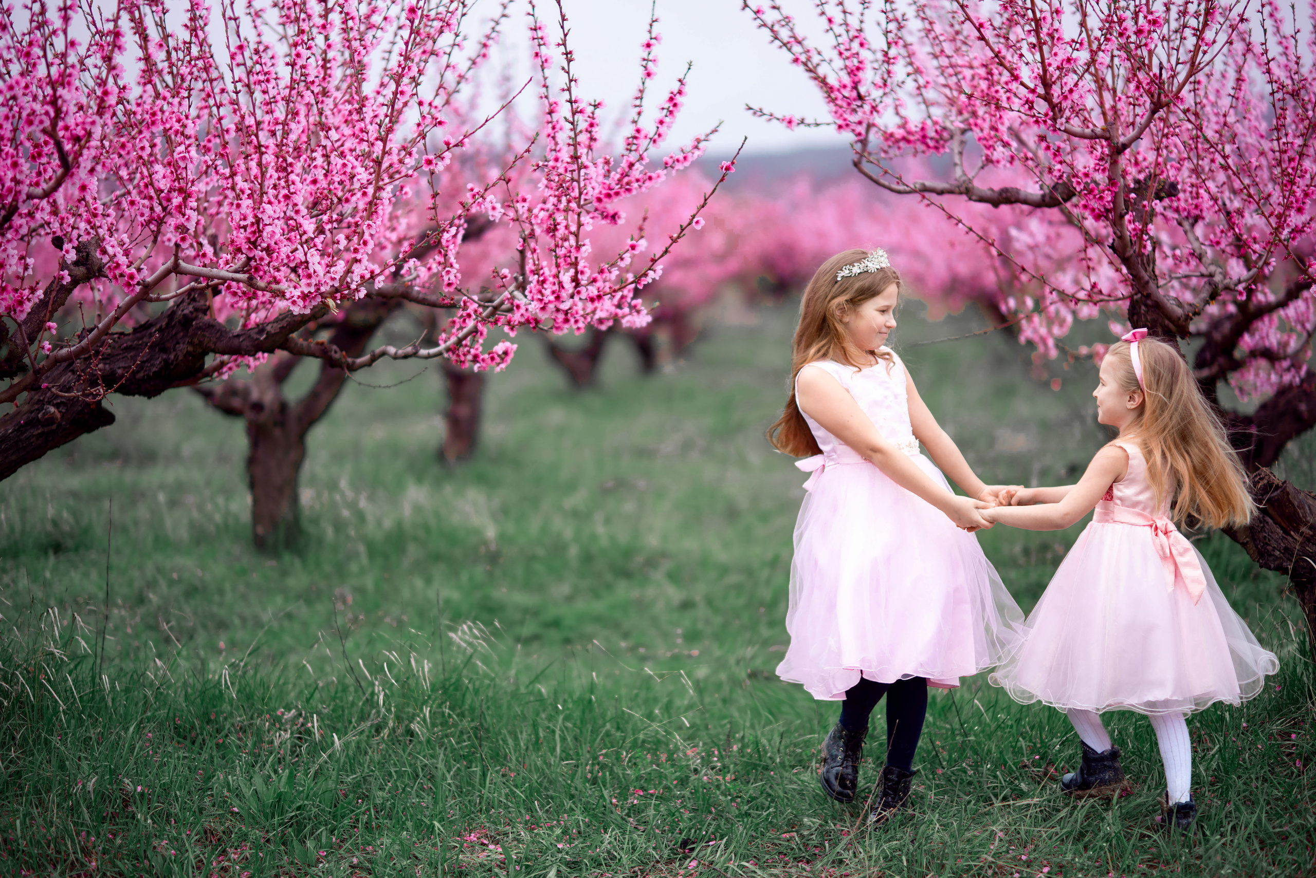 Фотосессия среди персиковых садов. Свадебный и семейный фотограф и видеограф, Крым, Москва, Санкт -Петербург
